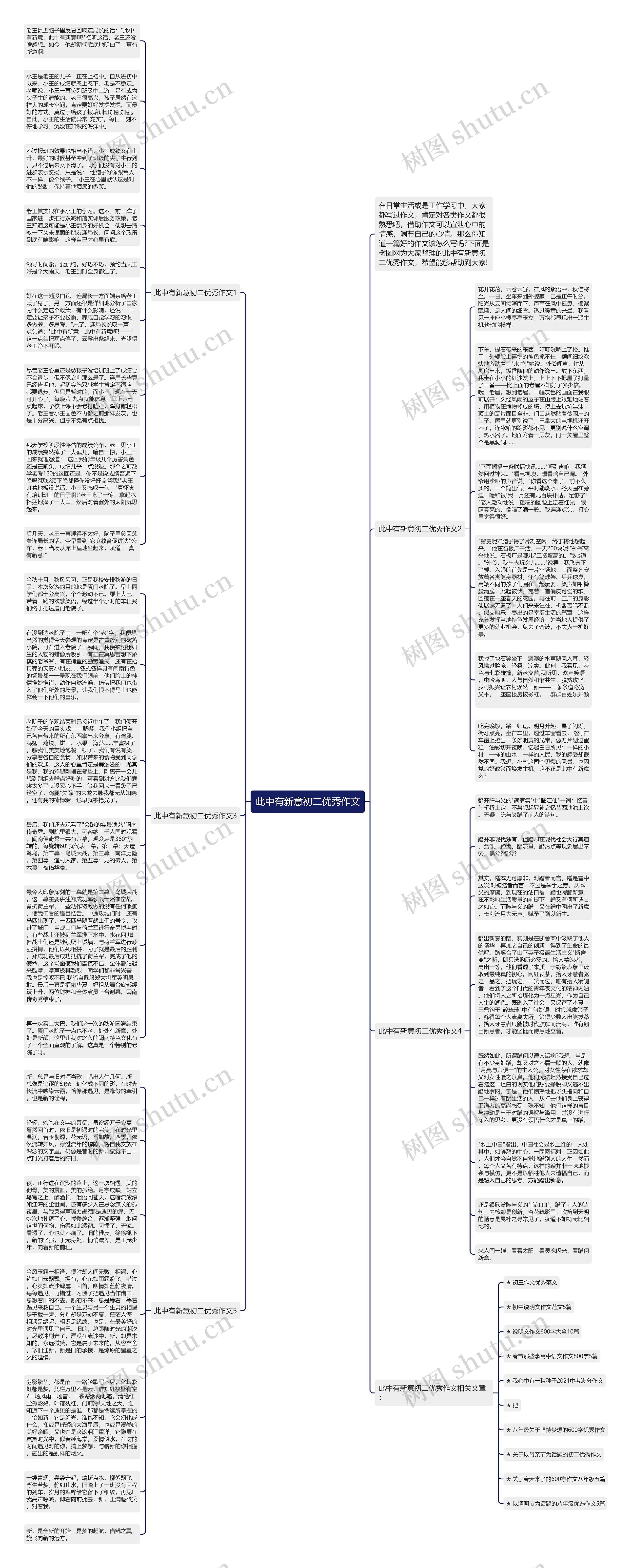 此中有新意初二优秀作文思维导图
