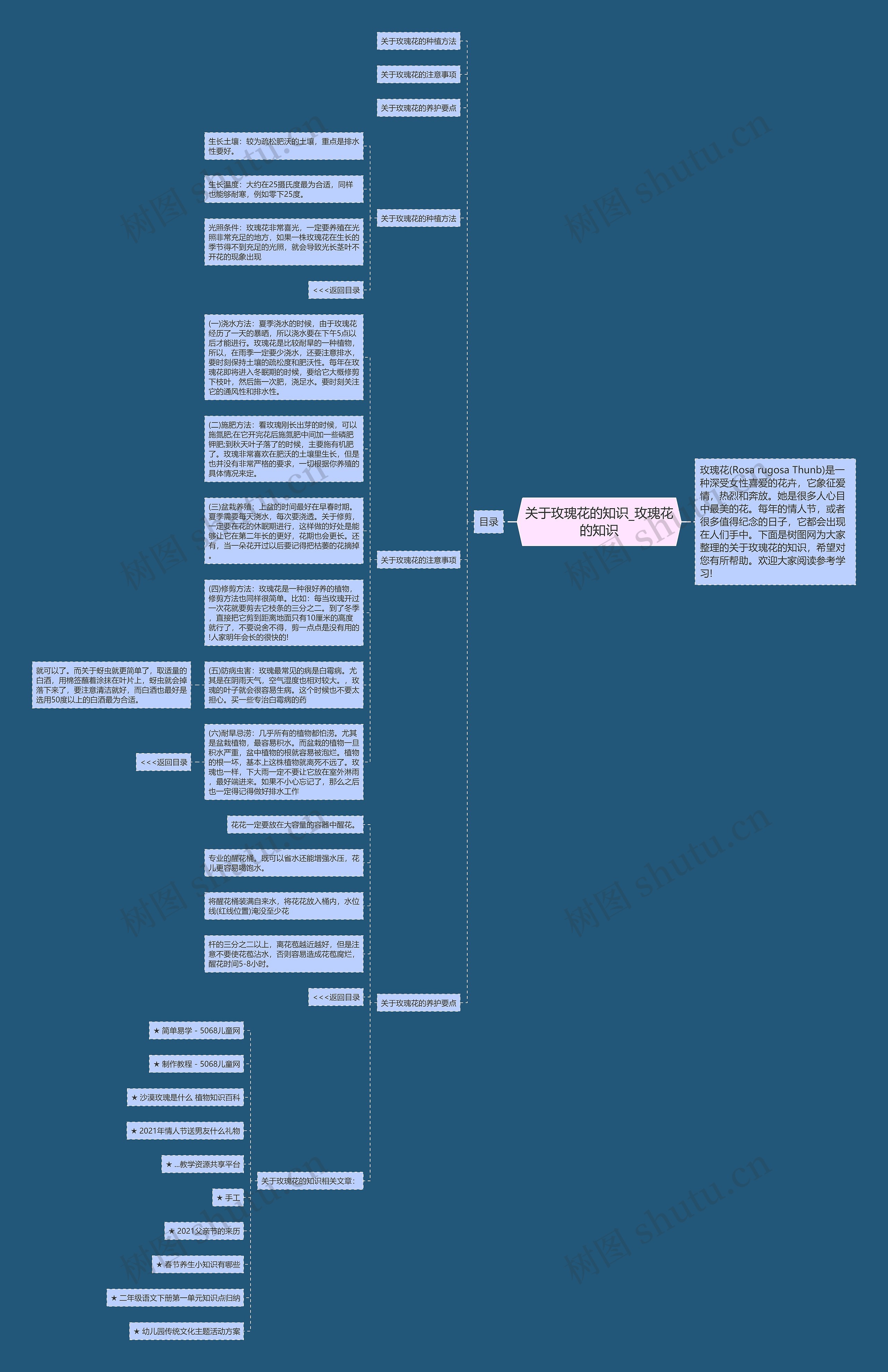 关于玫瑰花的知识_玫瑰花的知识思维导图