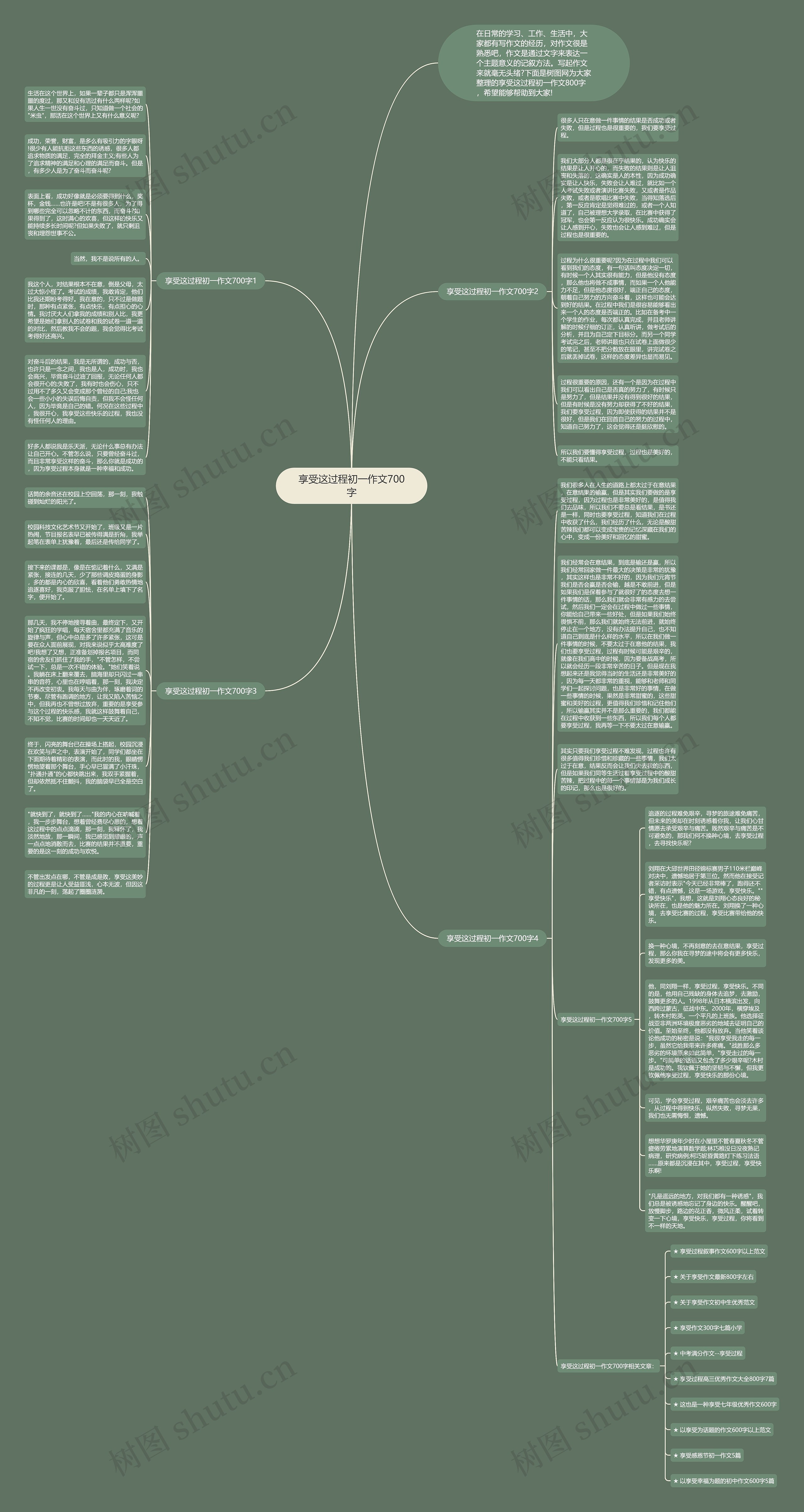享受这过程初一作文700字思维导图