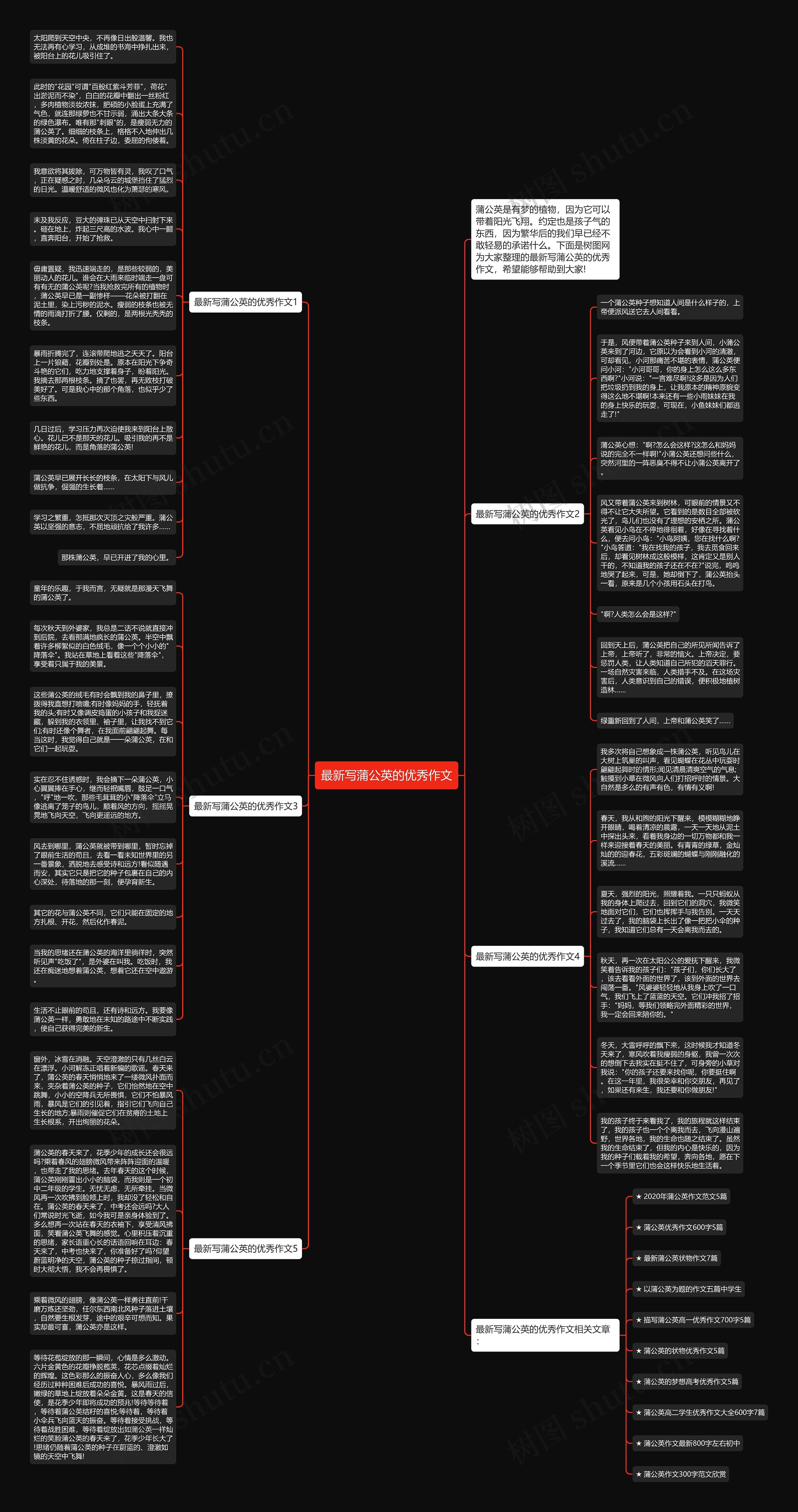 最新写蒲公英的优秀作文思维导图