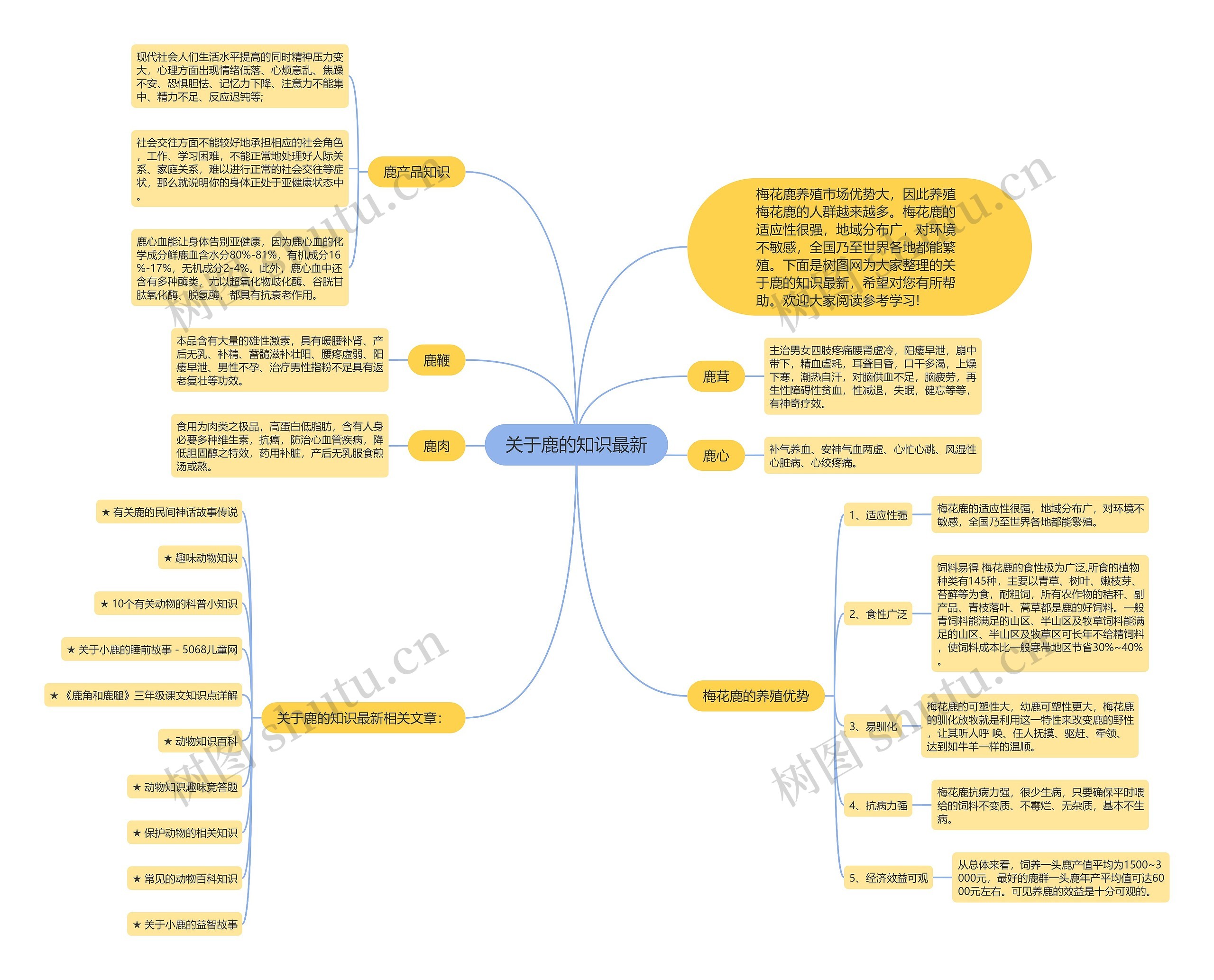 关于鹿的知识最新思维导图