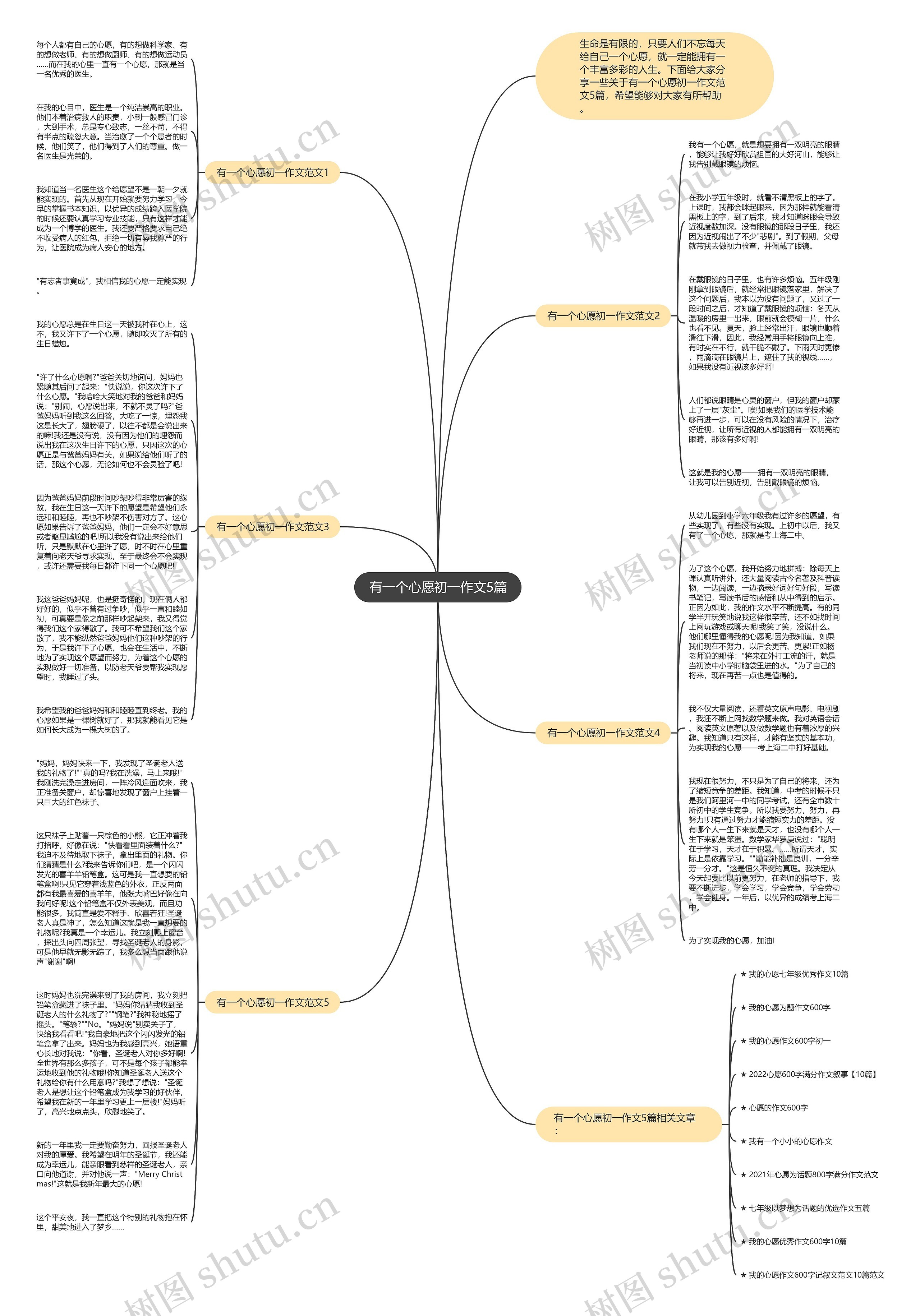 有一个心愿初一作文5篇思维导图