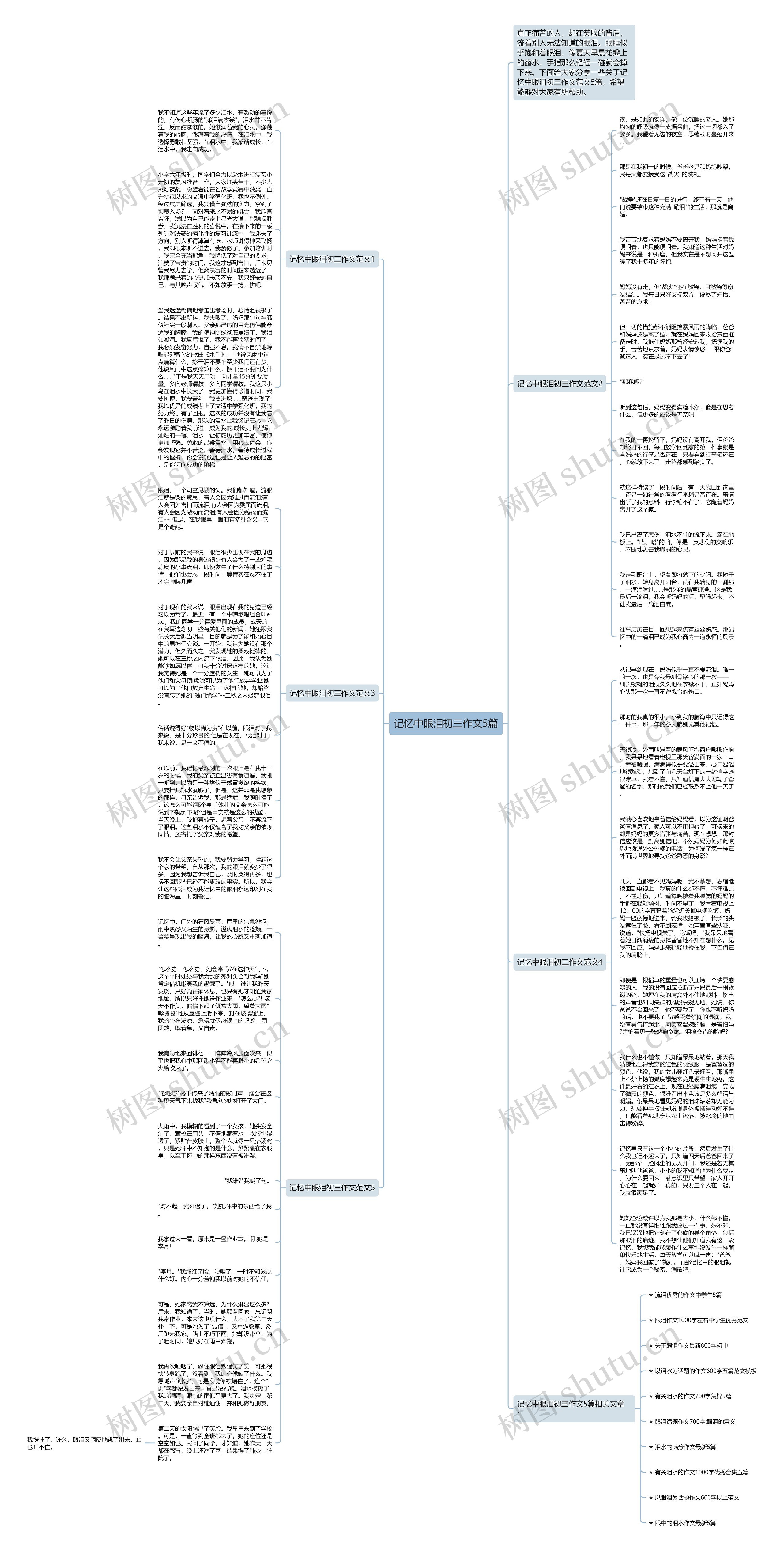 记忆中眼泪初三作文5篇思维导图