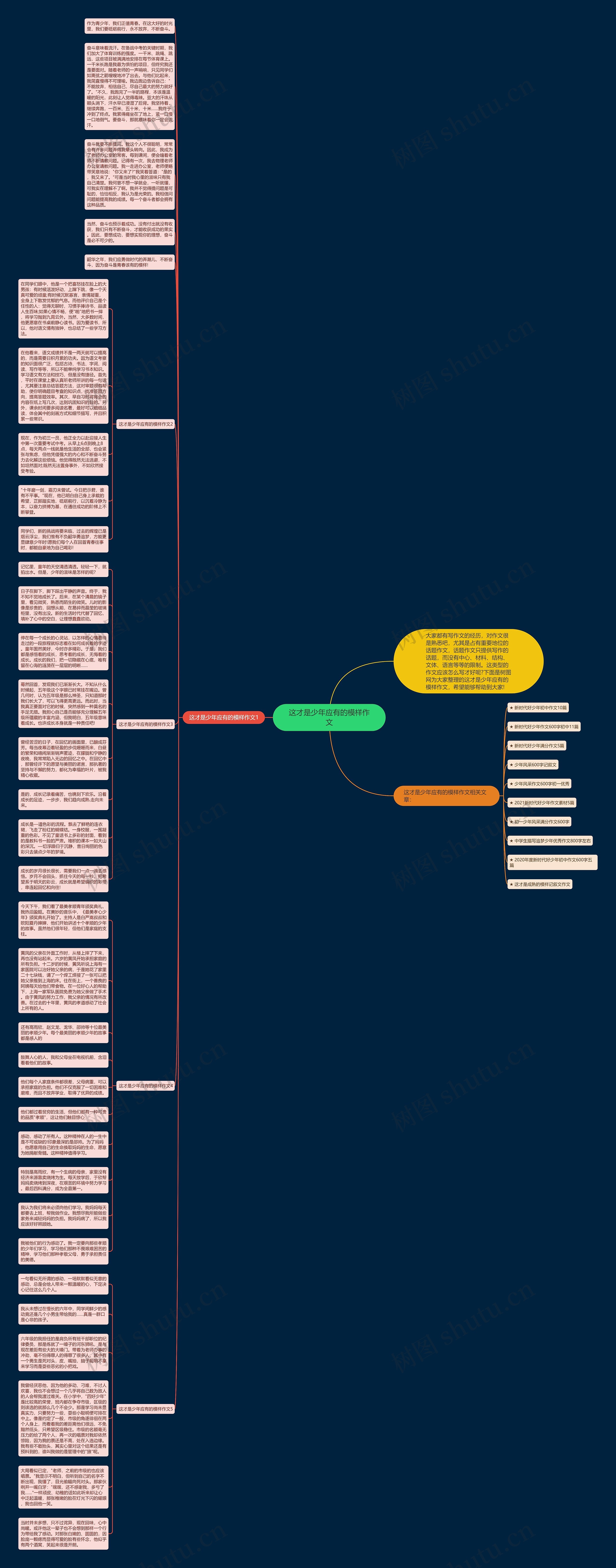 这才是少年应有的模样作文思维导图