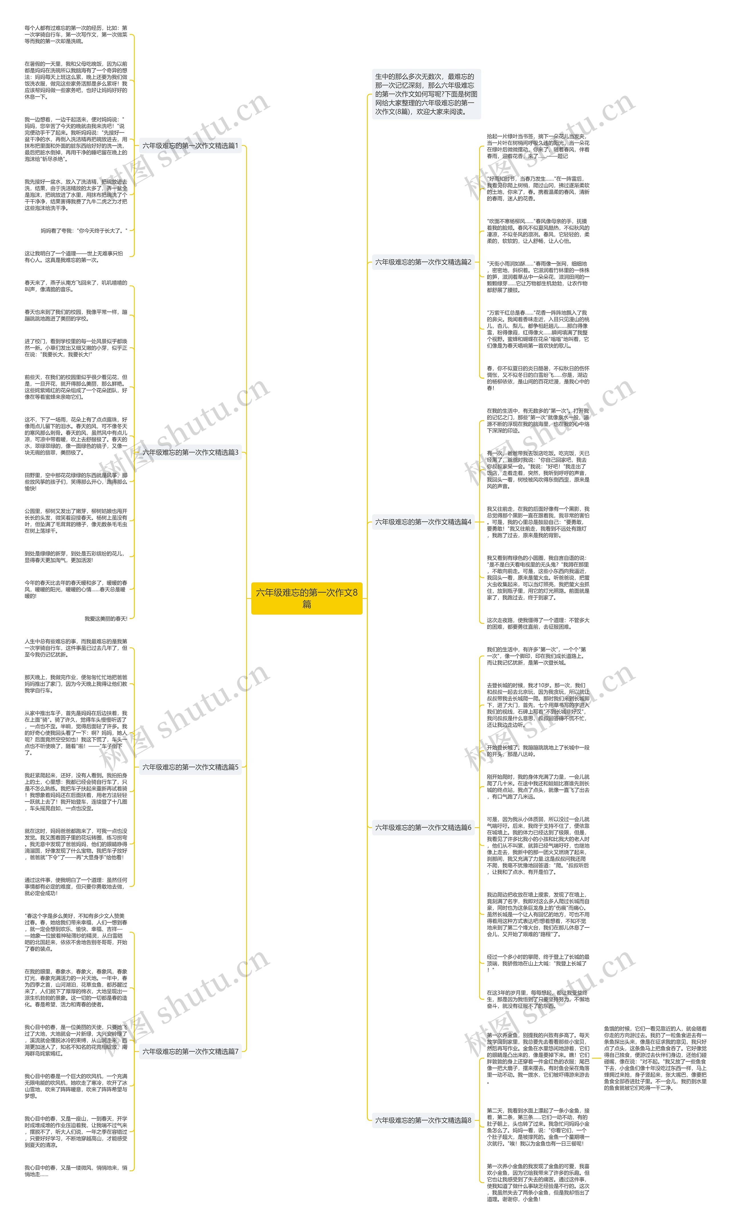 六年级难忘的第一次作文8篇思维导图