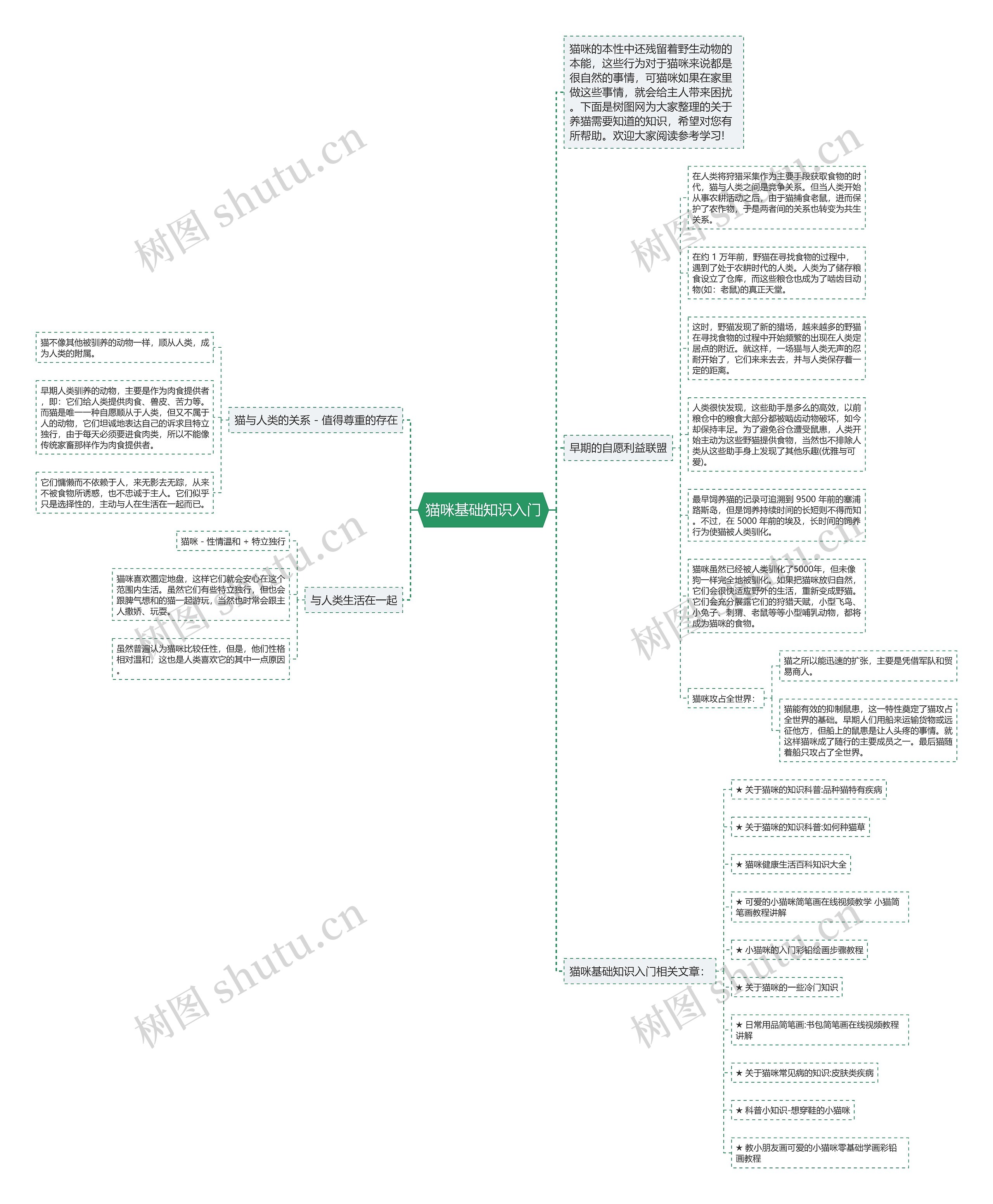 猫咪基础知识入门思维导图