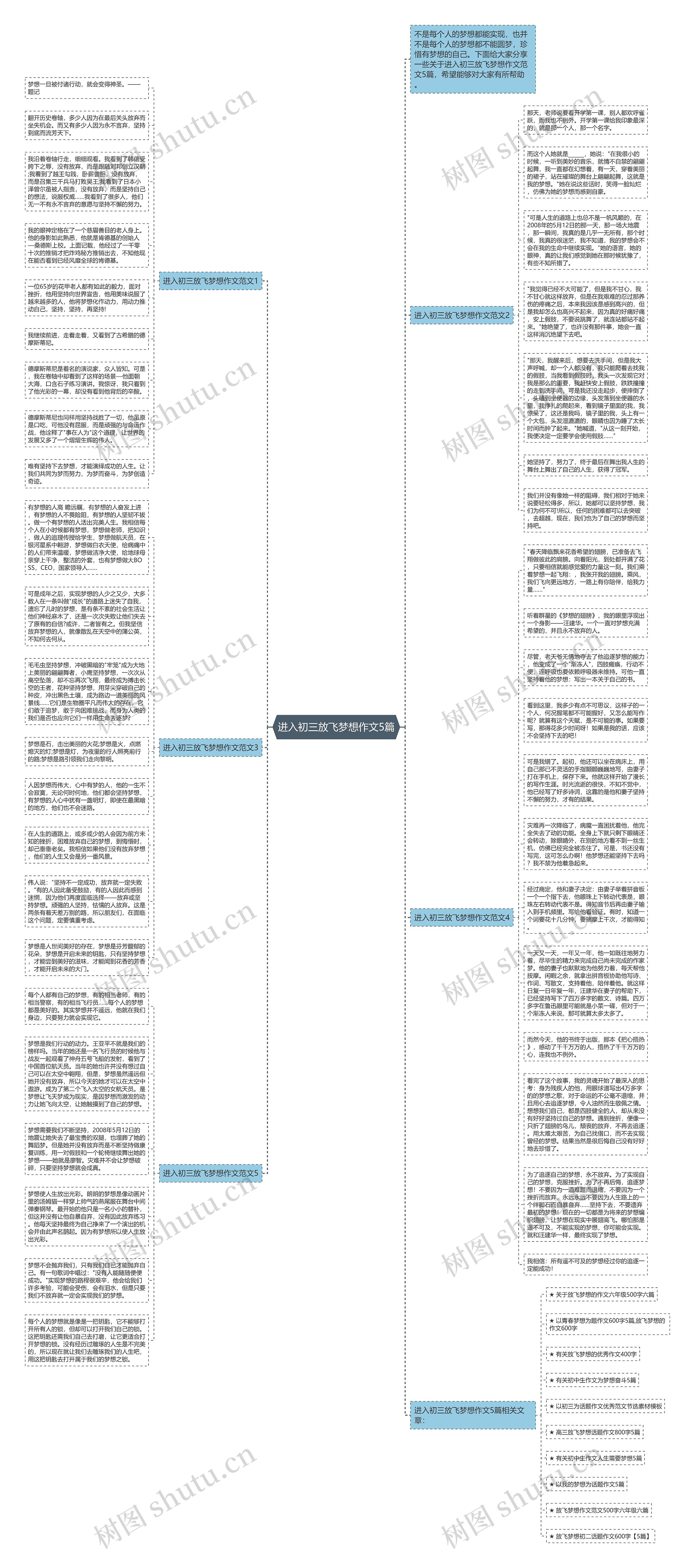 进入初三放飞梦想作文5篇思维导图