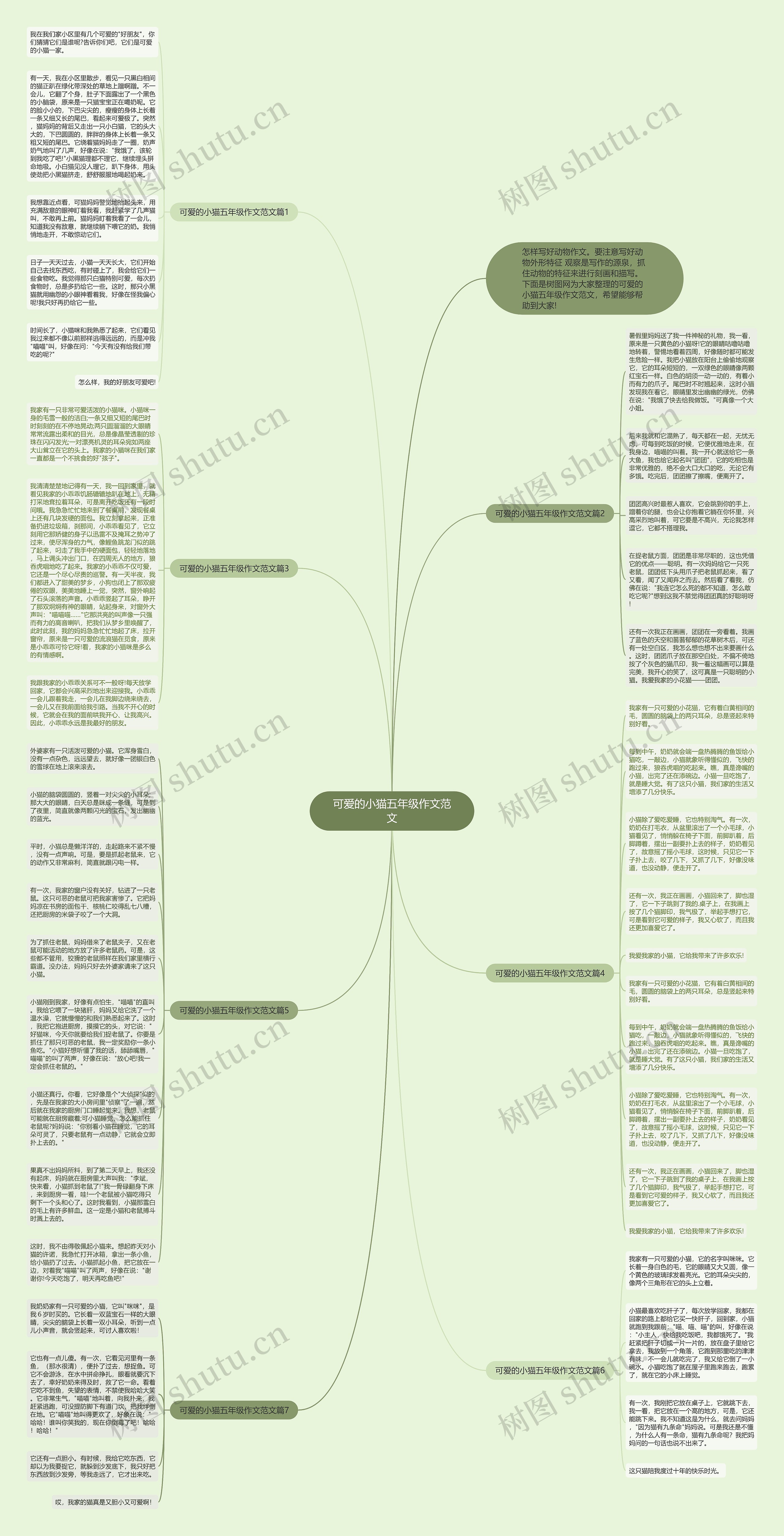 可爱的小猫五年级作文范文思维导图
