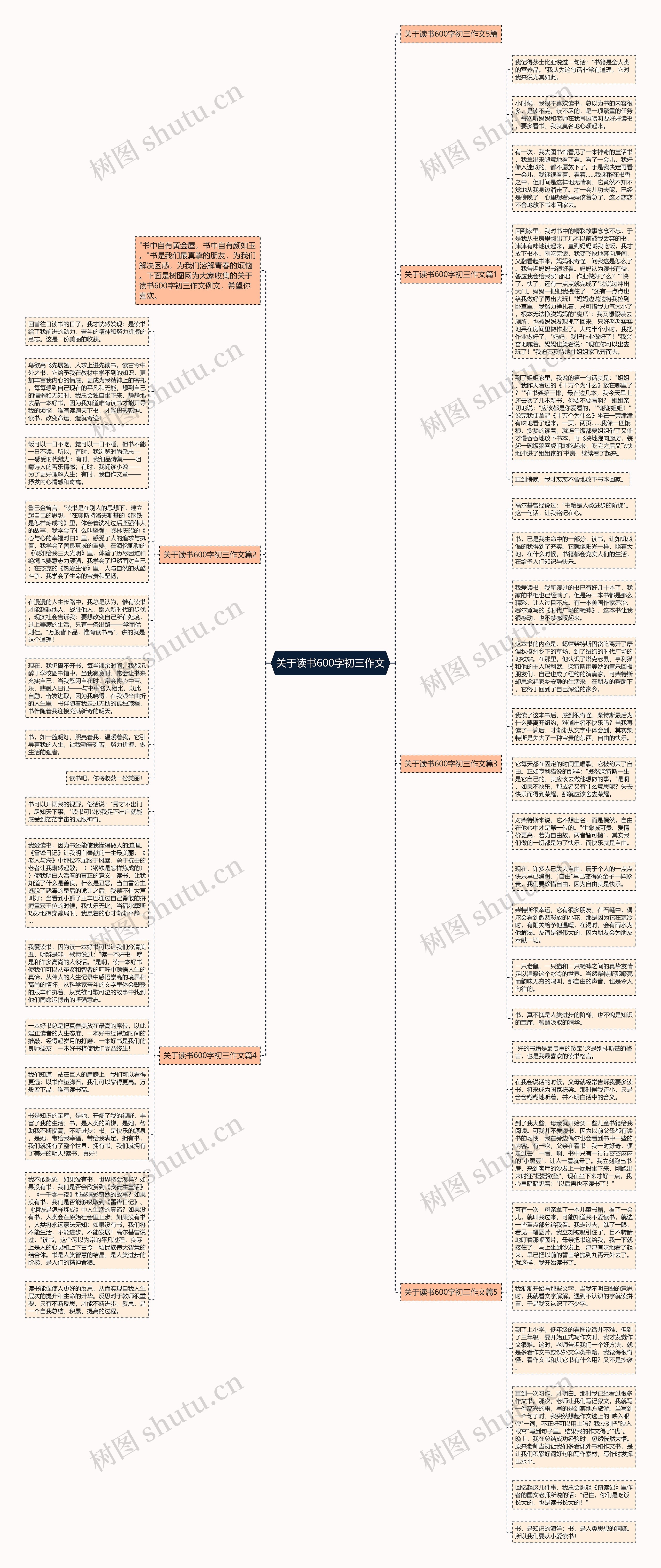 关于读书600字初三作文思维导图