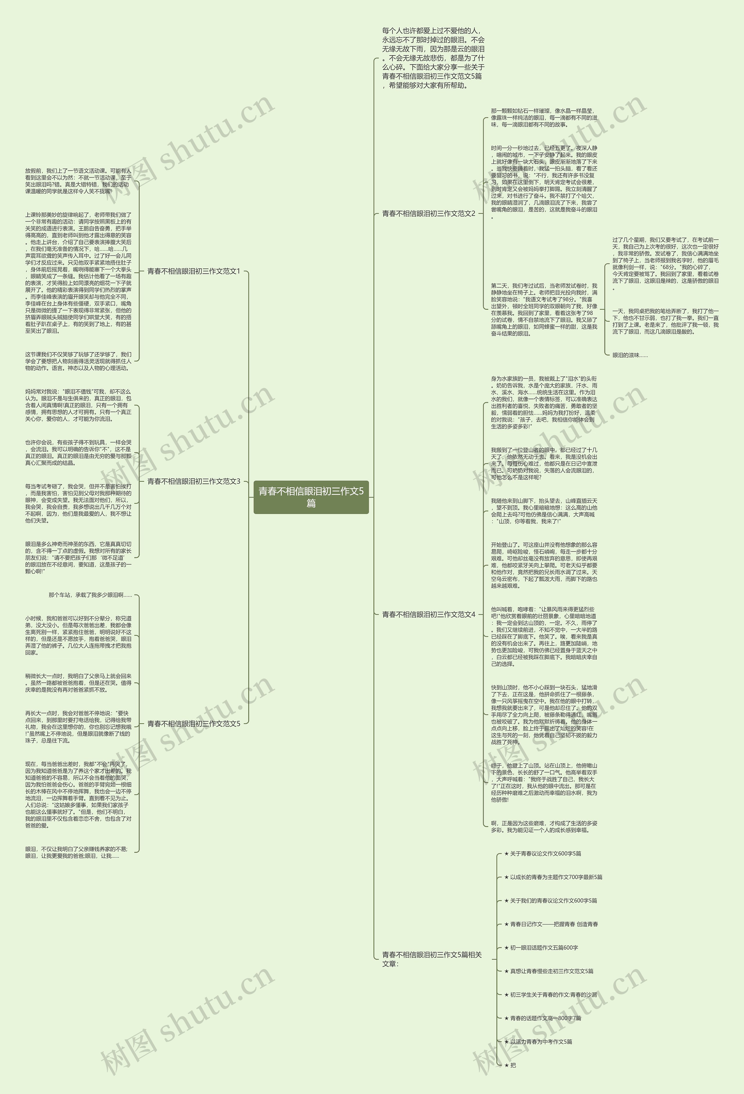 青春不相信眼泪初三作文5篇思维导图