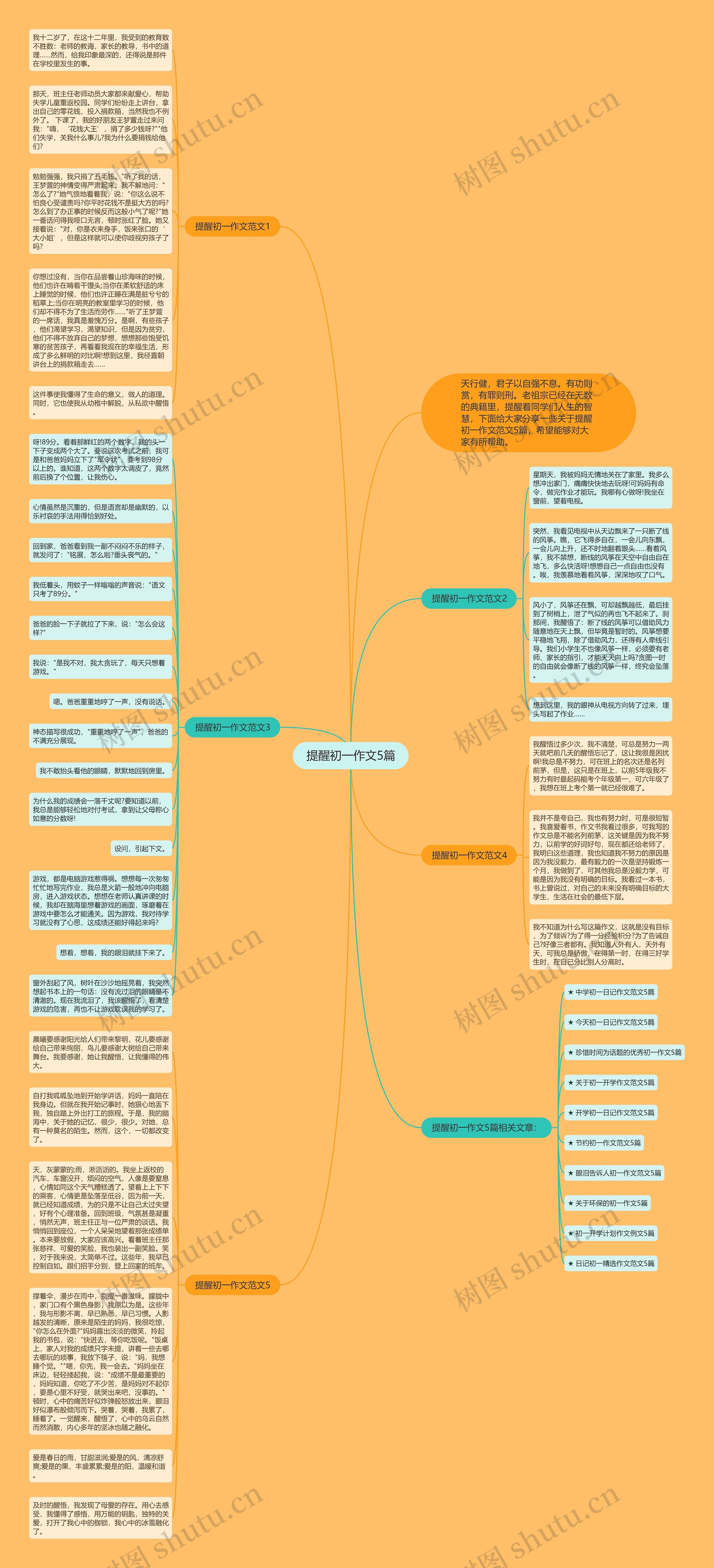 提醒初一作文5篇思维导图