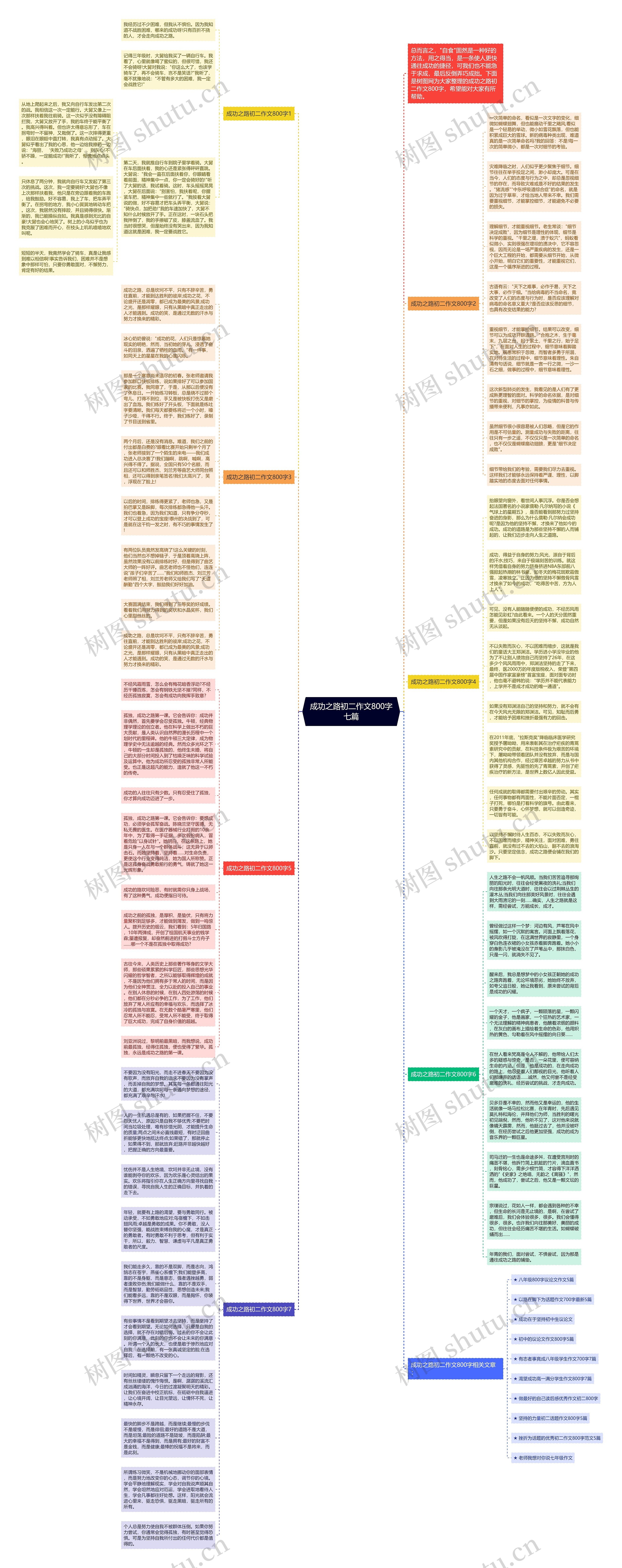 成功之路初二作文800字七篇思维导图