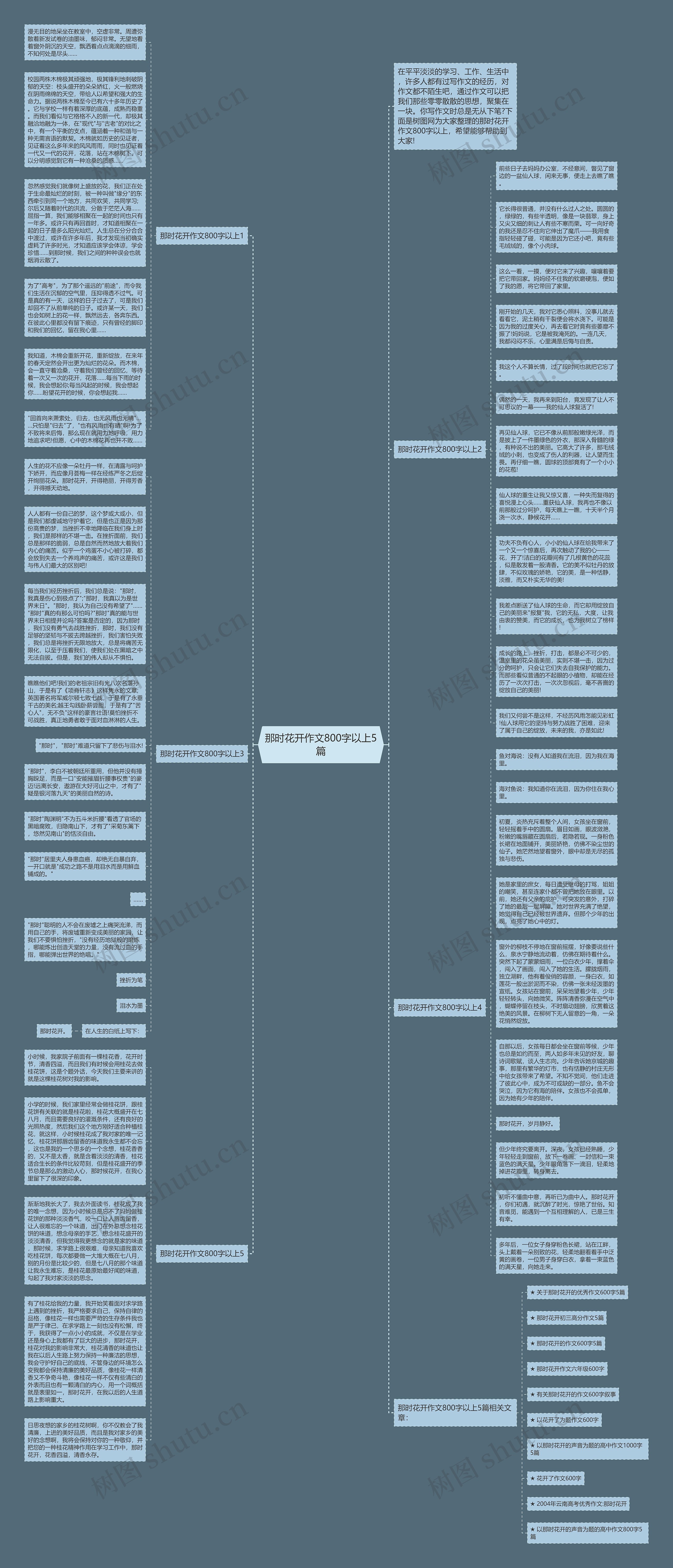 那时花开作文800字以上5篇思维导图