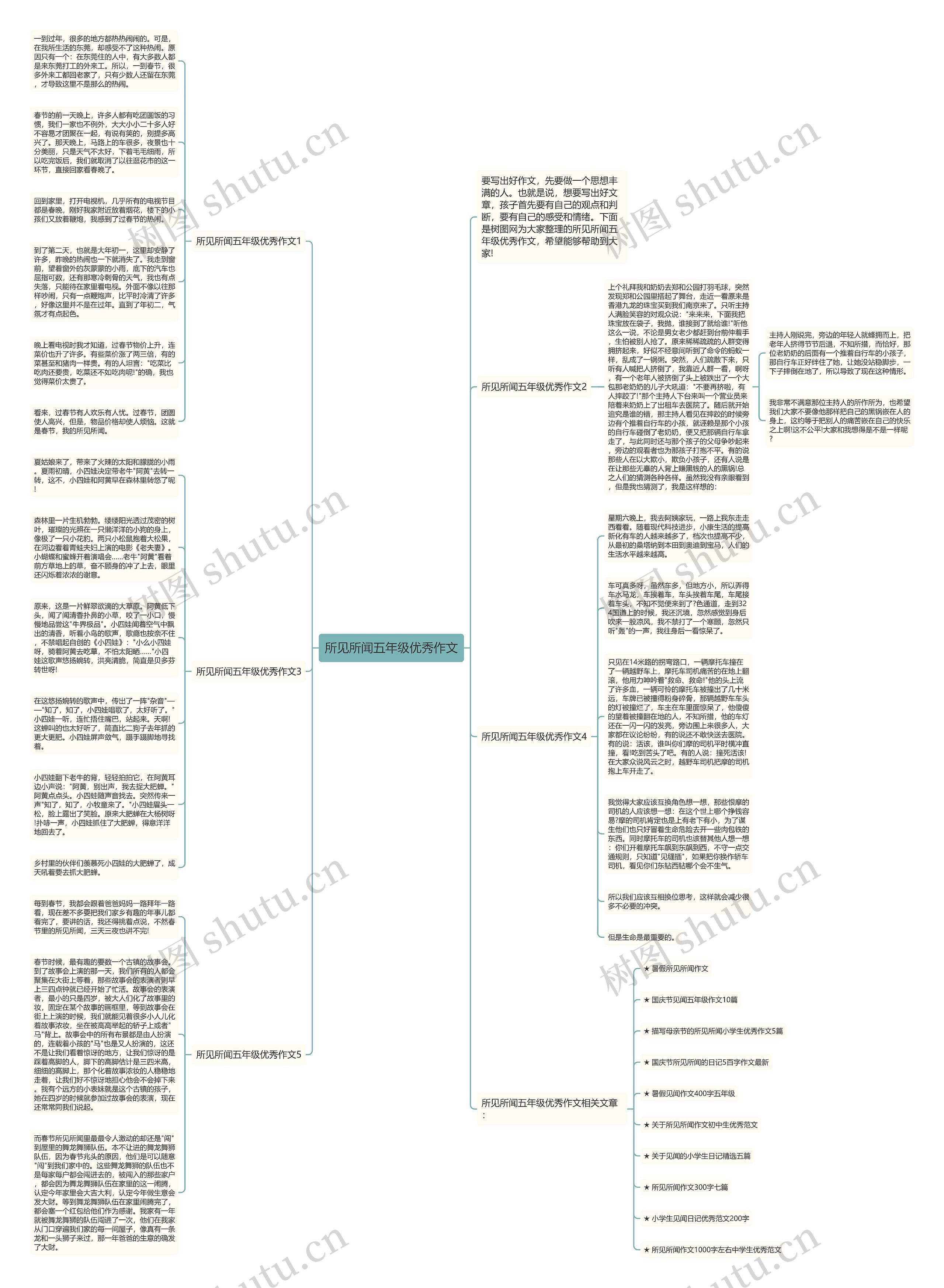 所见所闻五年级优秀作文思维导图