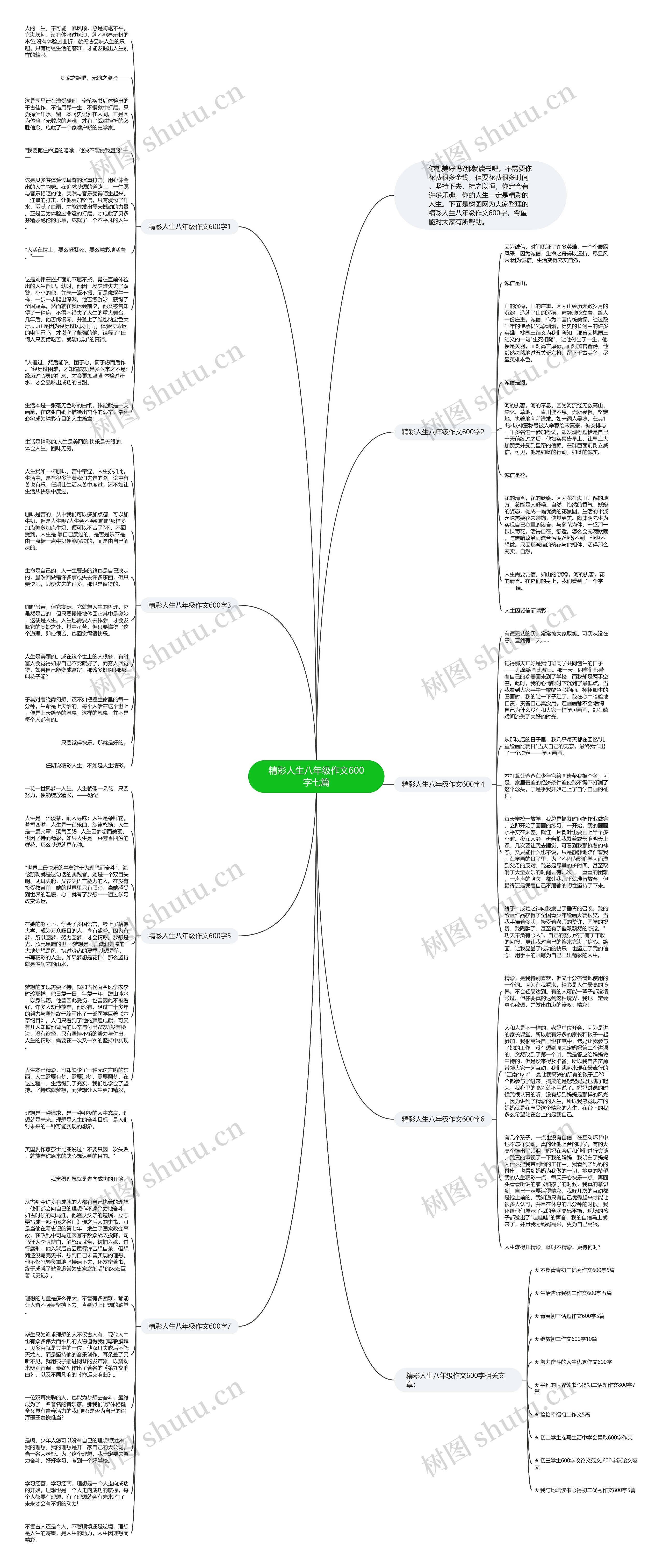 精彩人生八年级作文600字七篇思维导图