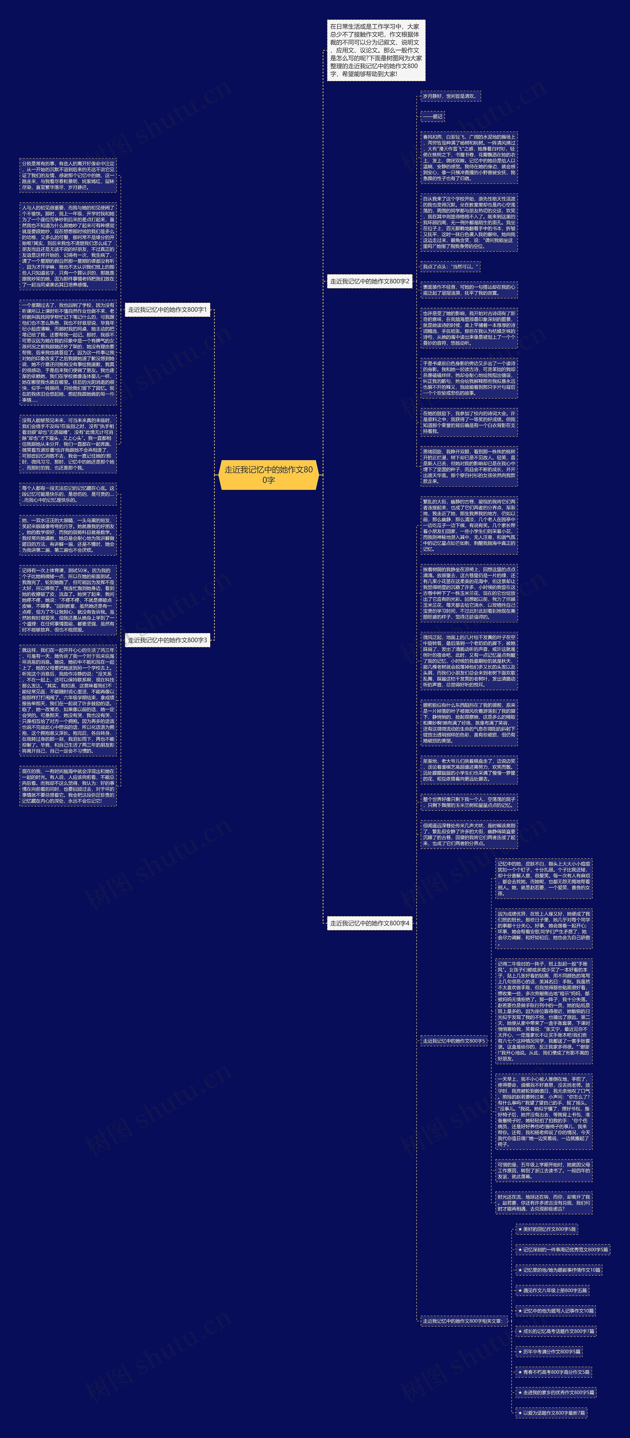 走近我记忆中的她作文800字思维导图