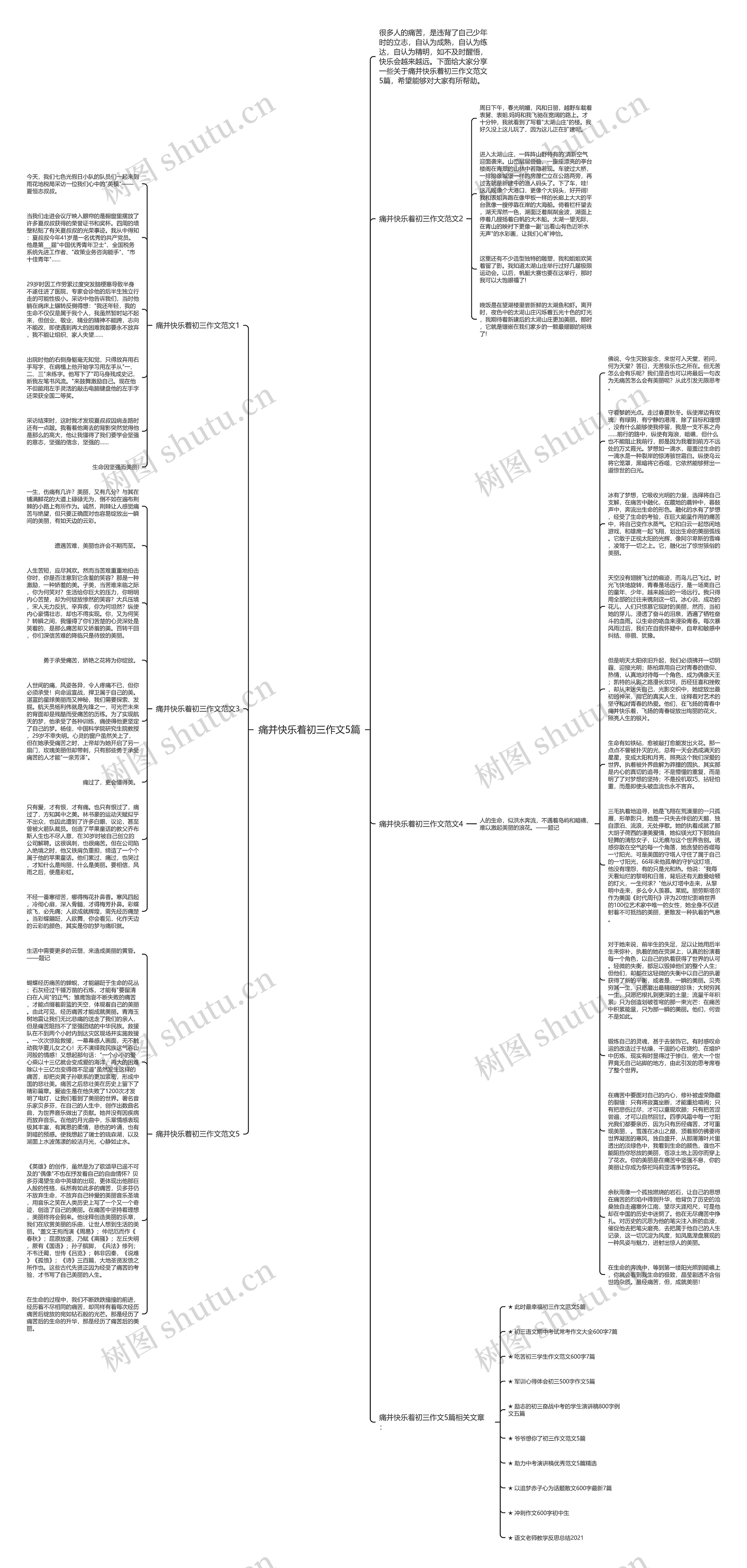 痛并快乐着初三作文5篇思维导图
