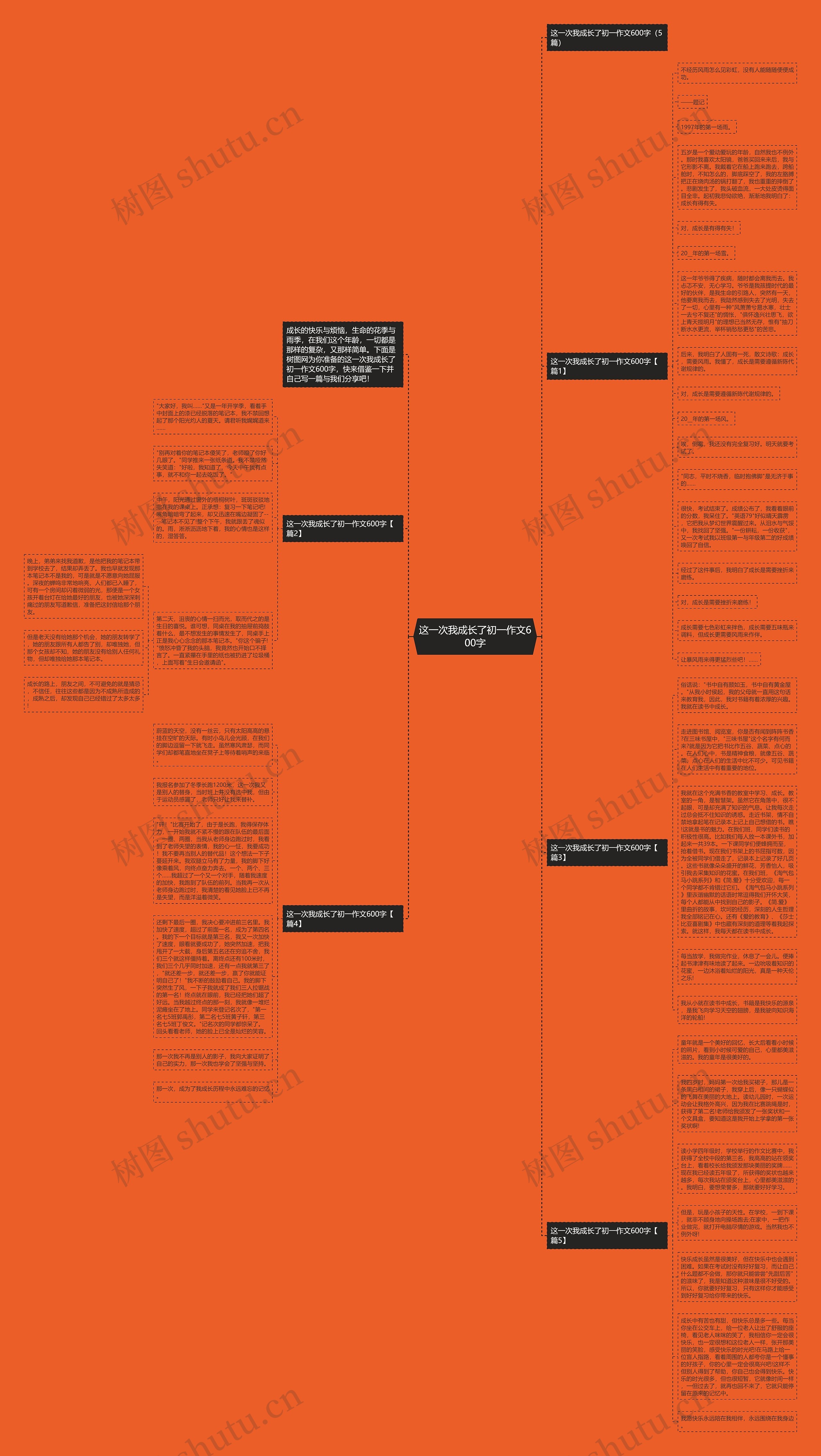 这一次我成长了初一作文600字思维导图