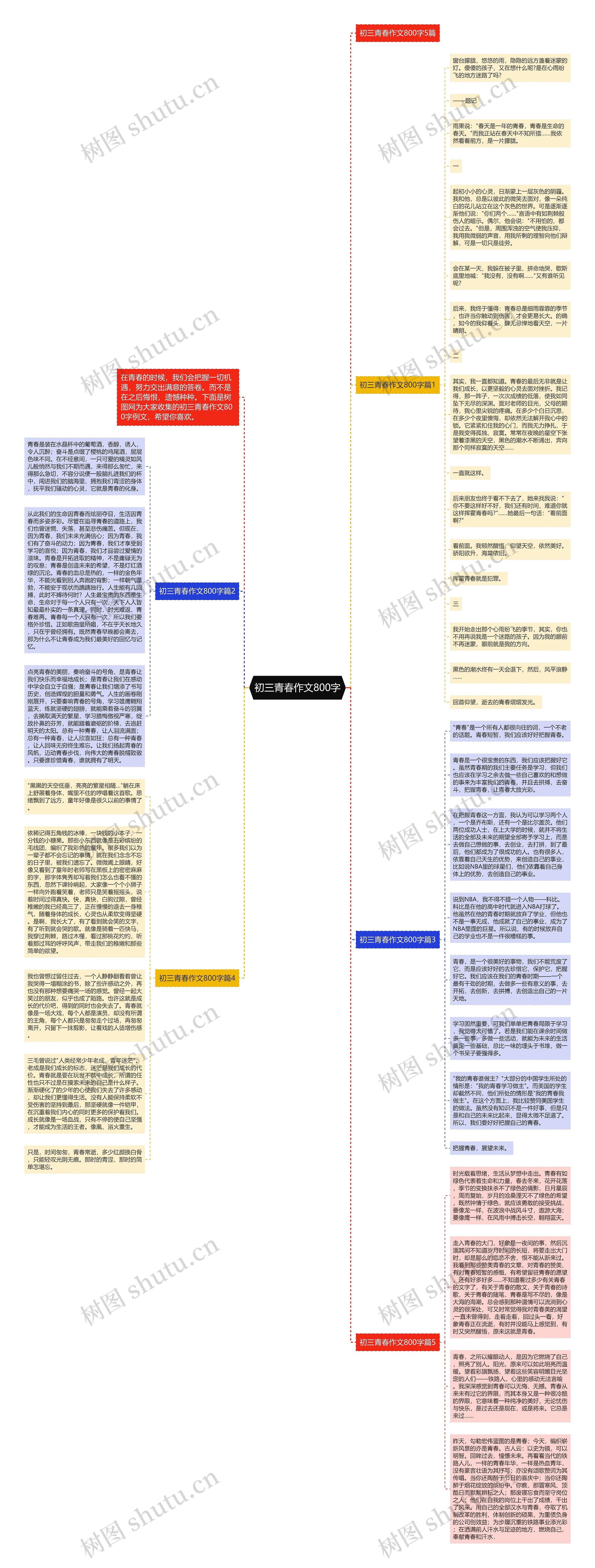 初三青春作文800字思维导图