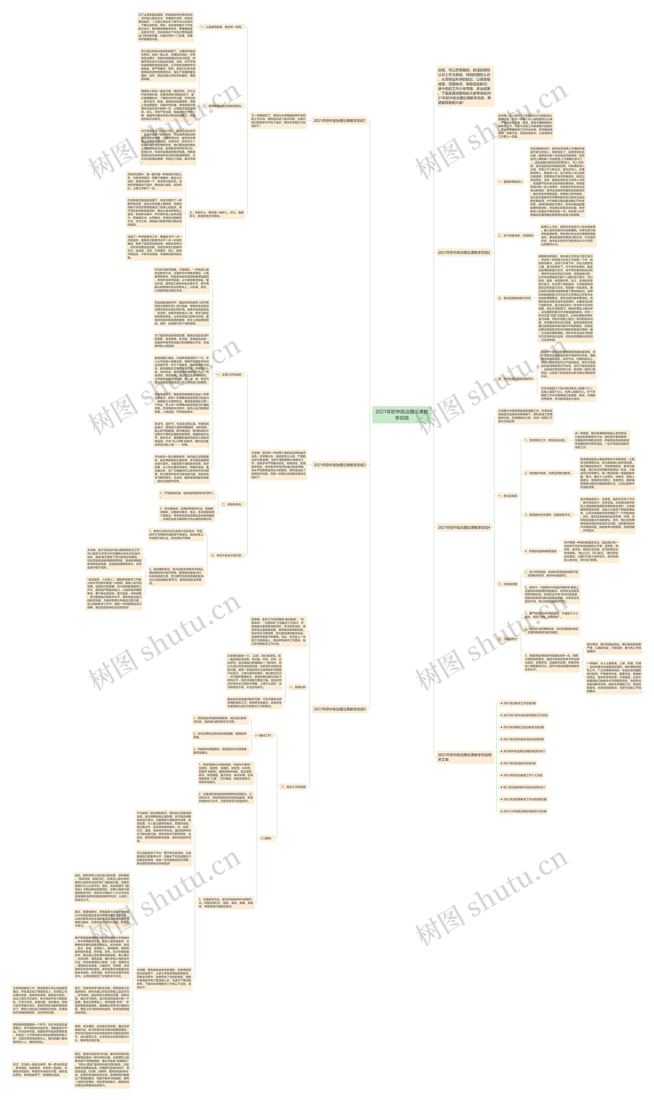 2021年初中政治理论课教学总结思维导图