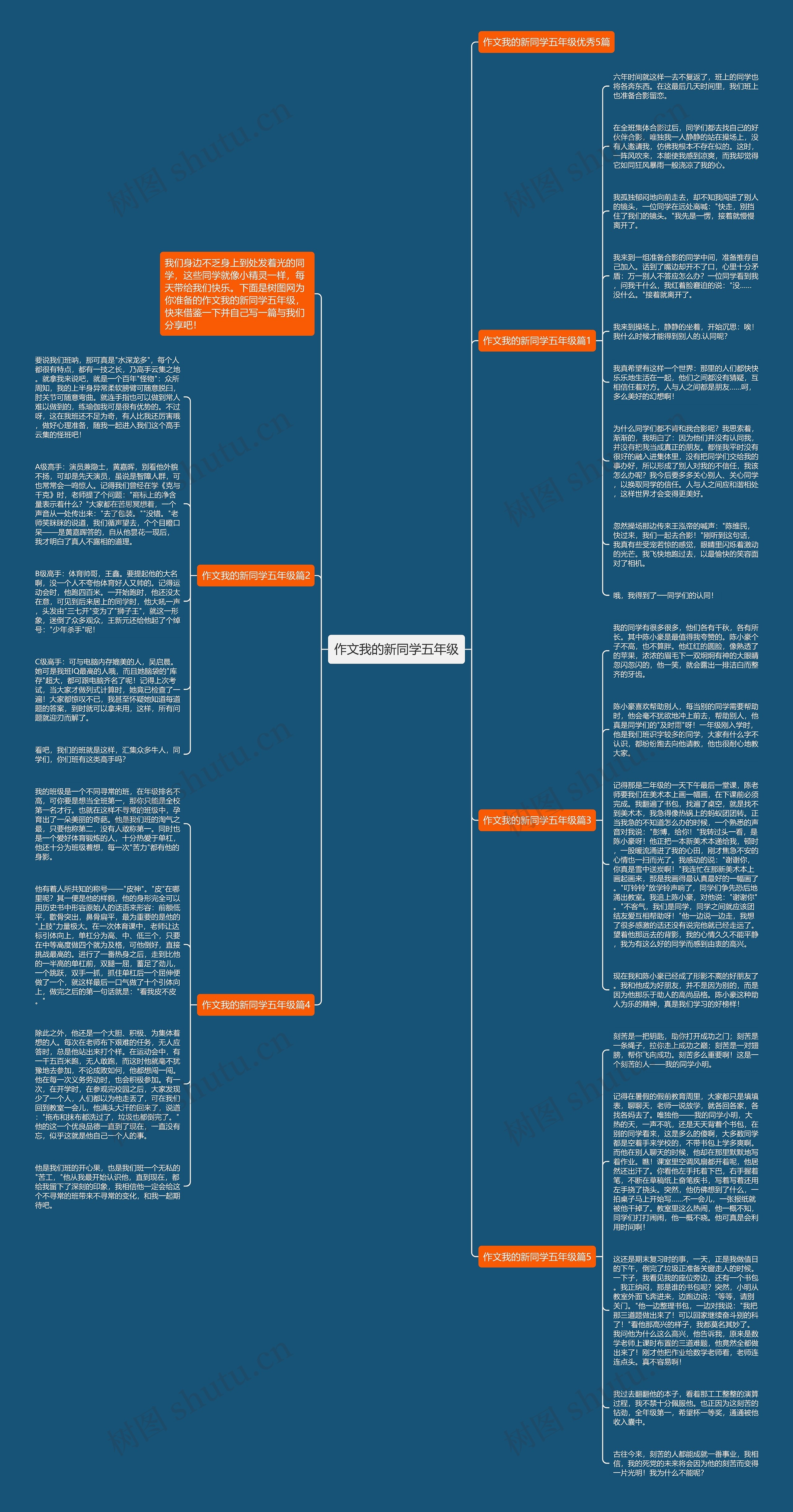 作文我的新同学五年级思维导图