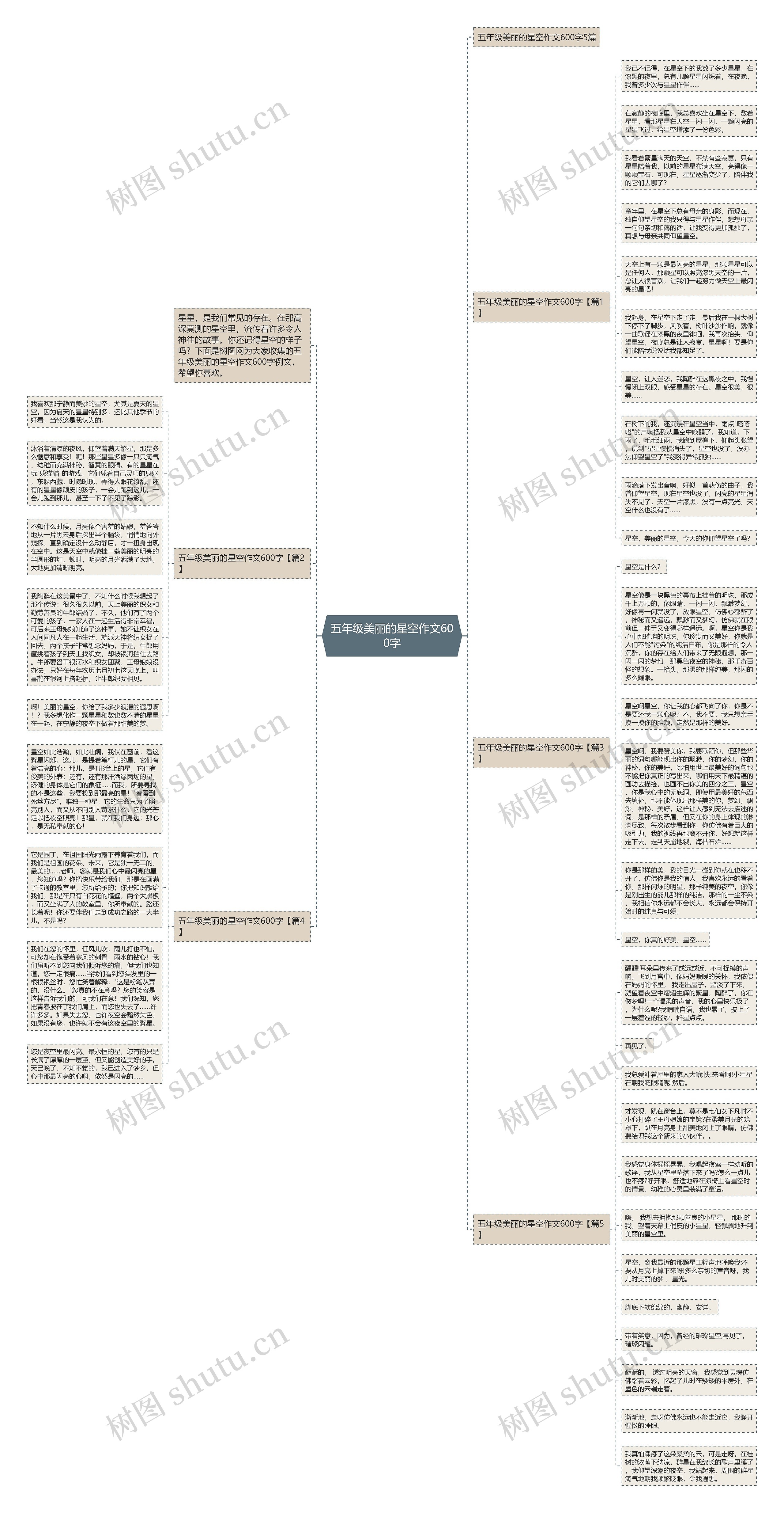 五年级美丽的星空作文600字思维导图