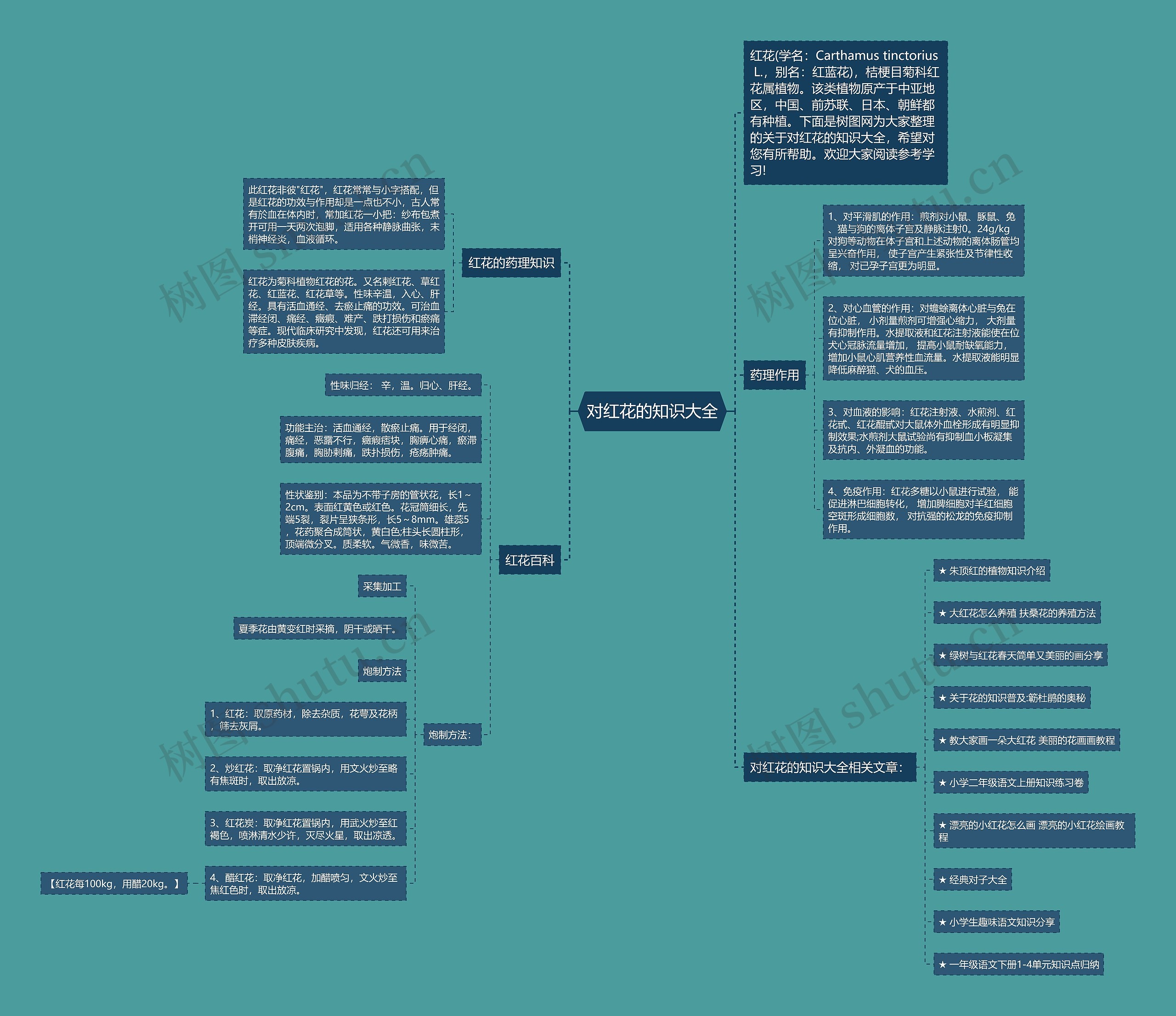 对红花的知识大全思维导图