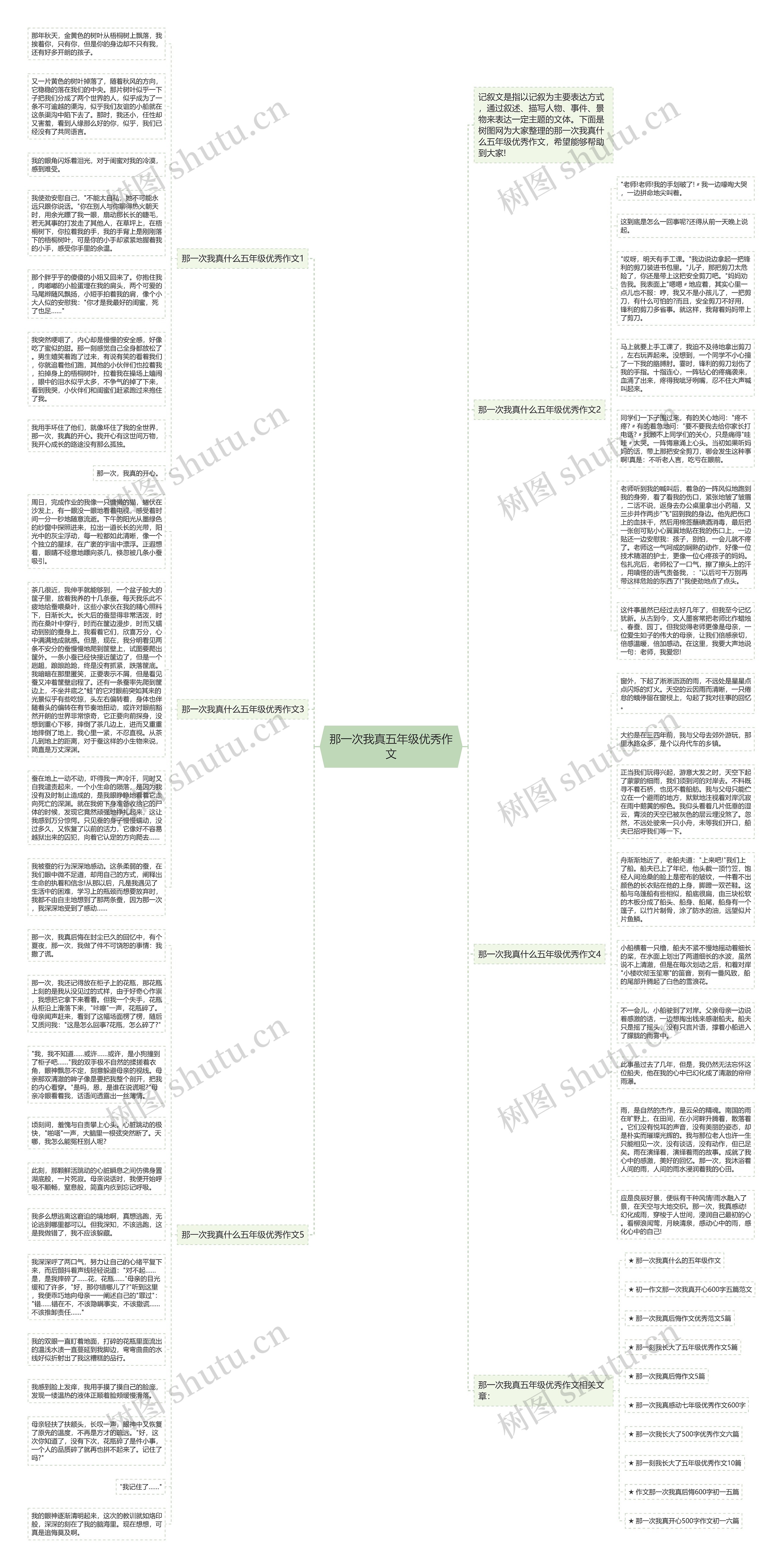 那一次我真五年级优秀作文