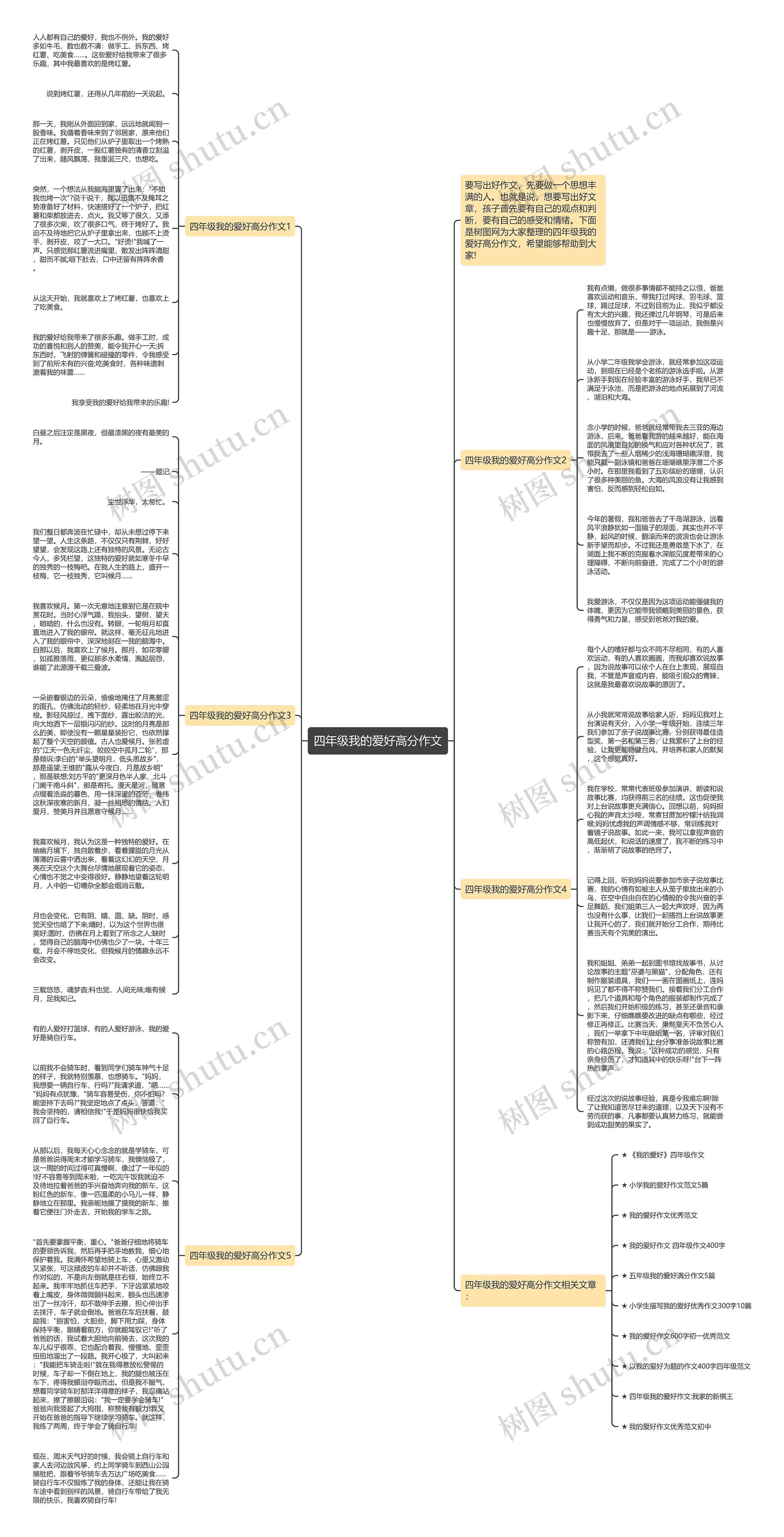 四年级我的爱好高分作文思维导图