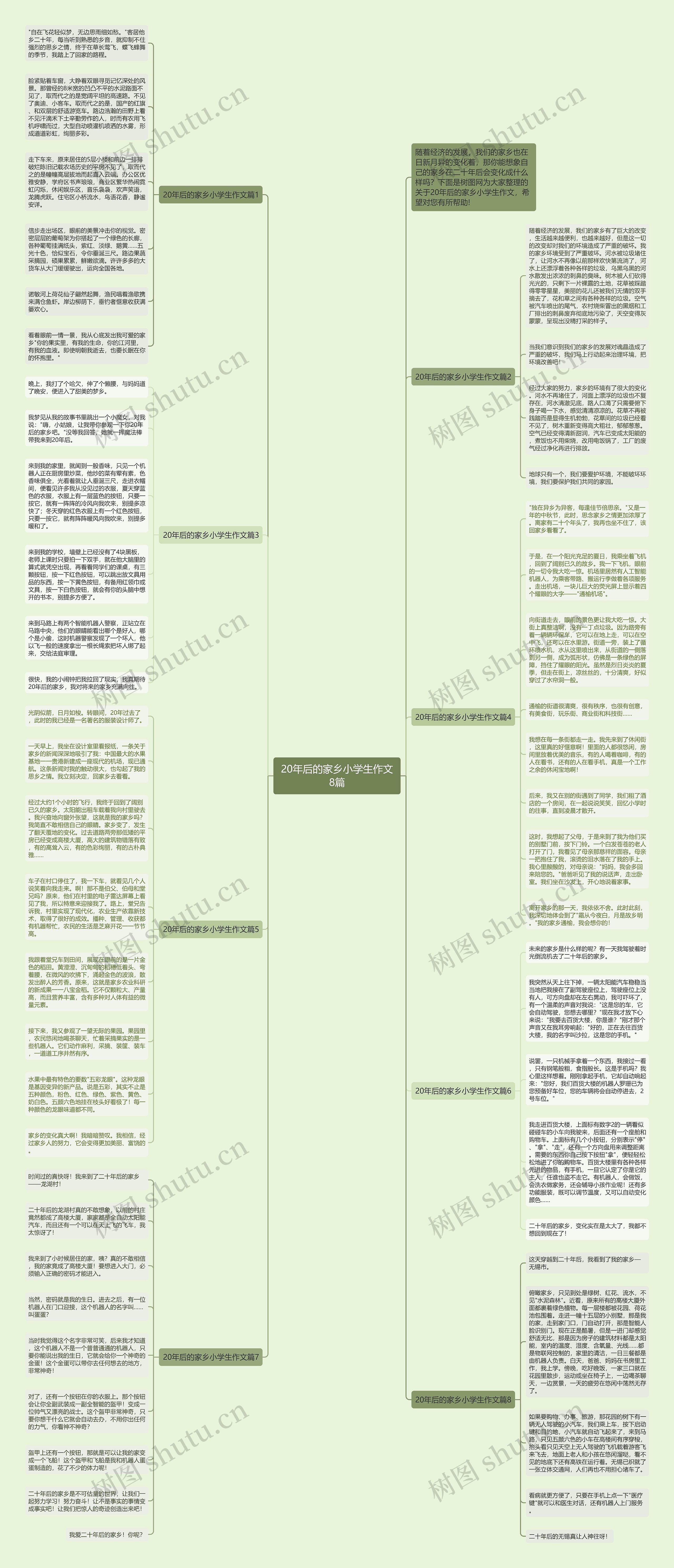 20年后的家乡小学生作文8篇思维导图