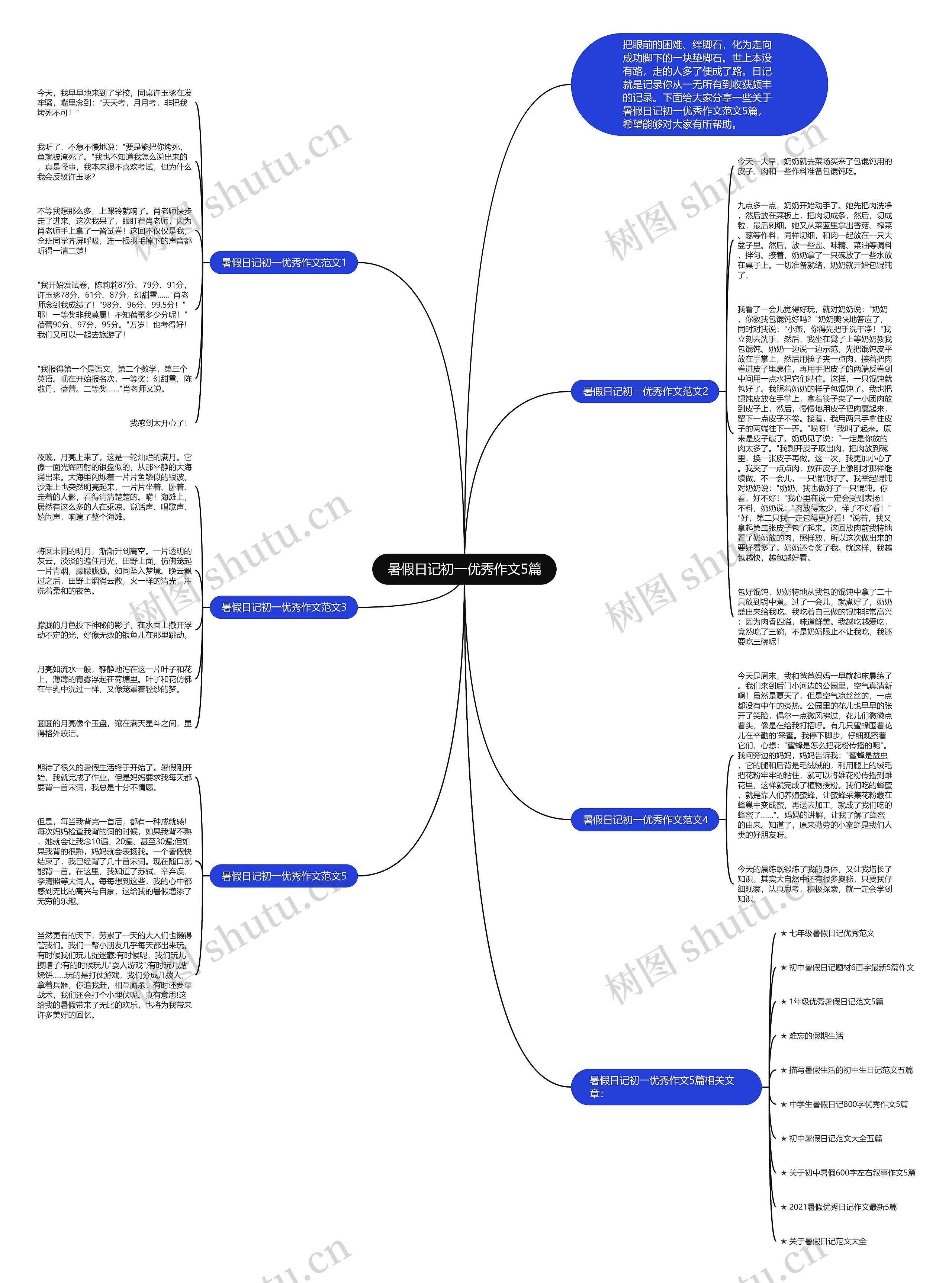 暑假日记初一优秀作文5篇思维导图