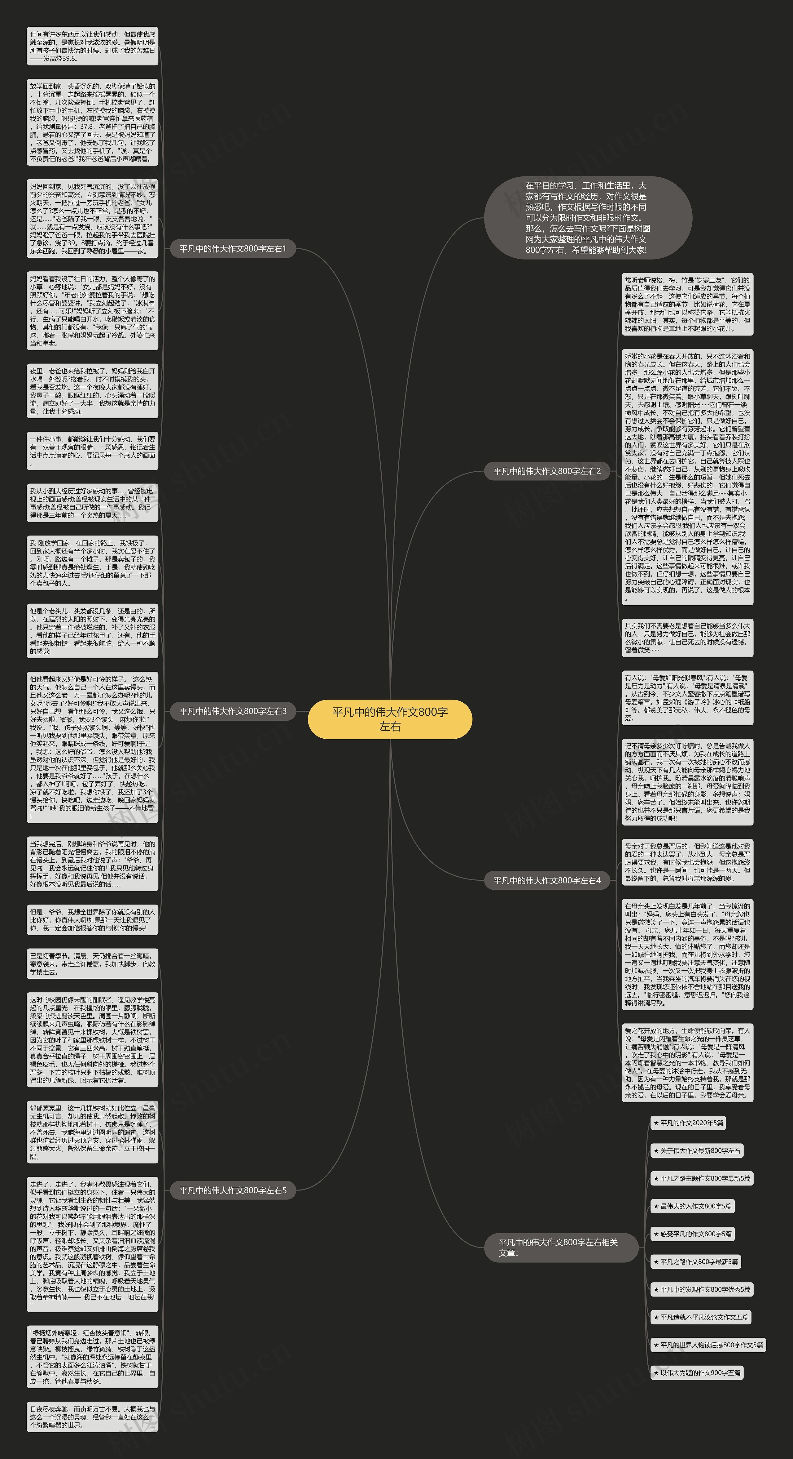 平凡中的伟大作文800字左右思维导图