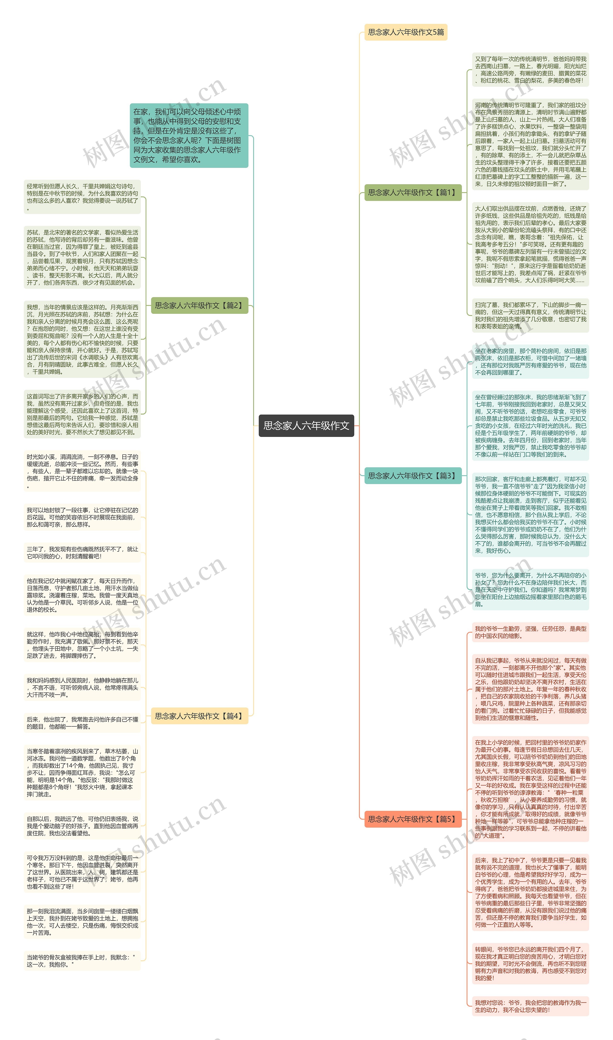 思念家人六年级作文思维导图