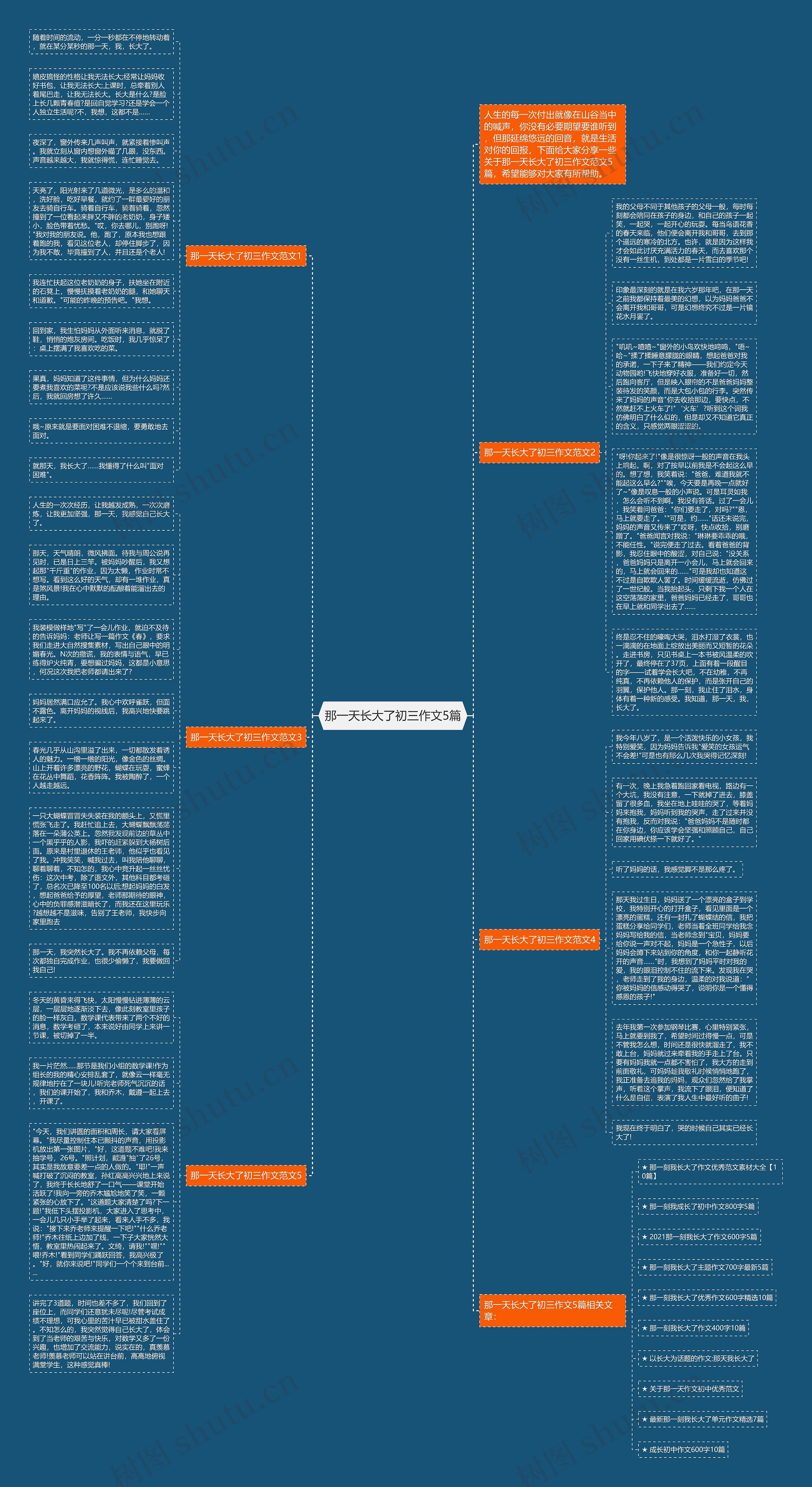 那一天长大了初三作文5篇思维导图