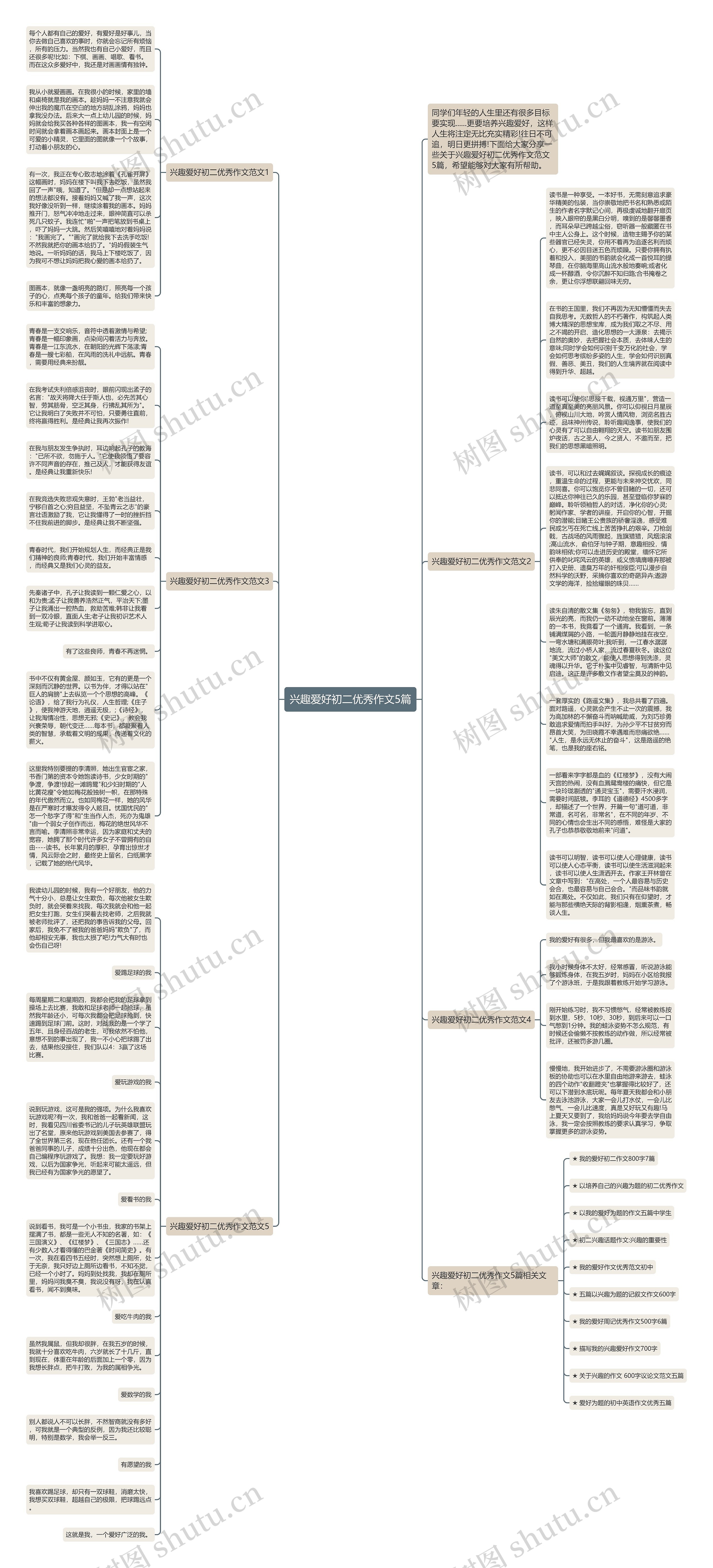 兴趣爱好初二优秀作文5篇思维导图