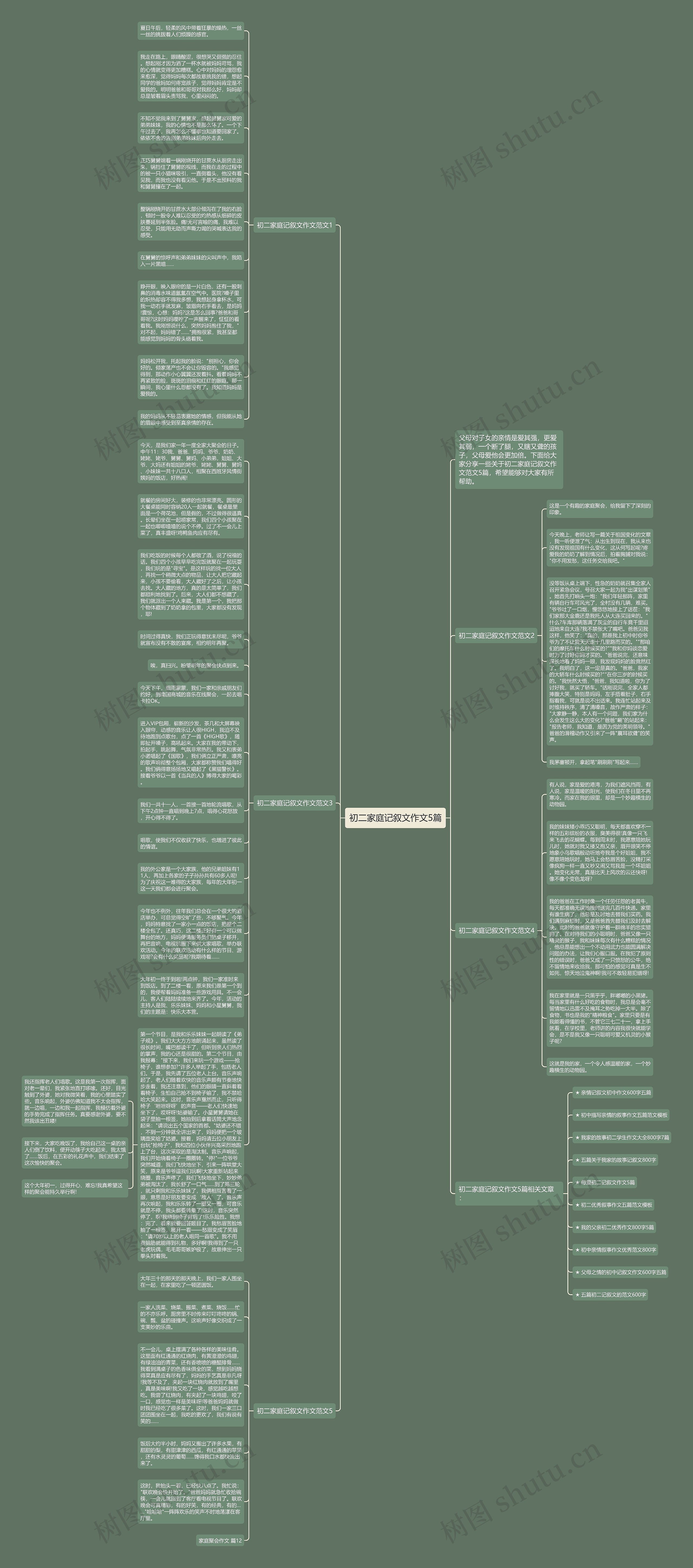 初二家庭记叙文作文5篇思维导图
