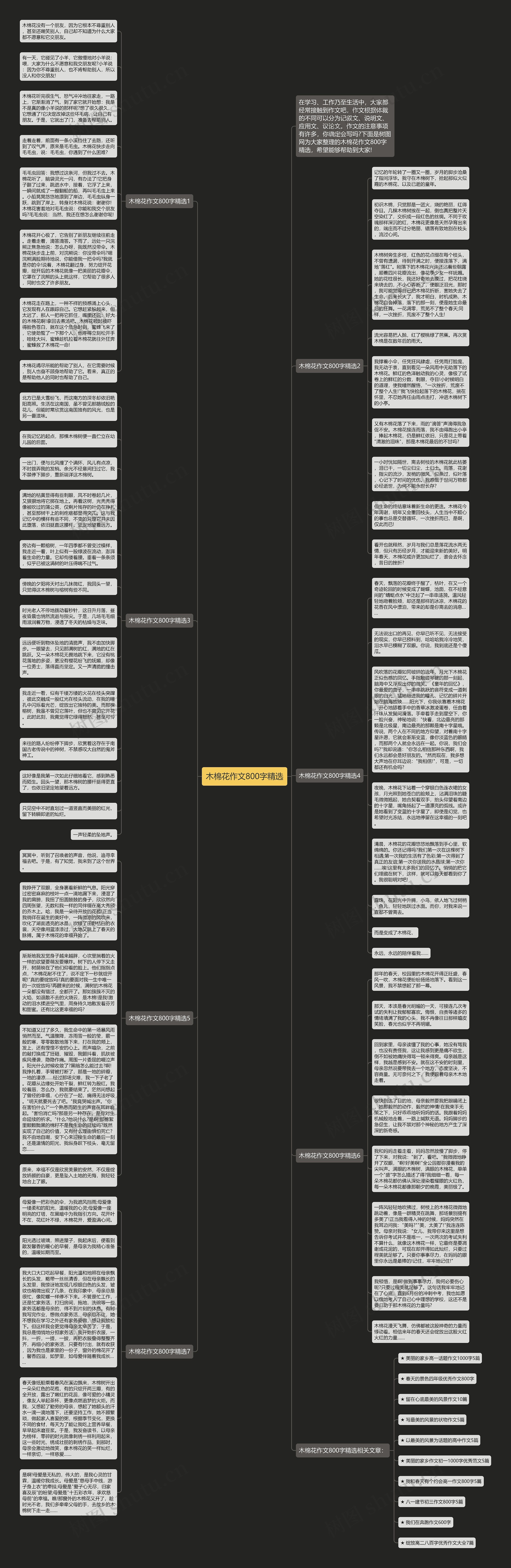 木棉花作文800字精选思维导图