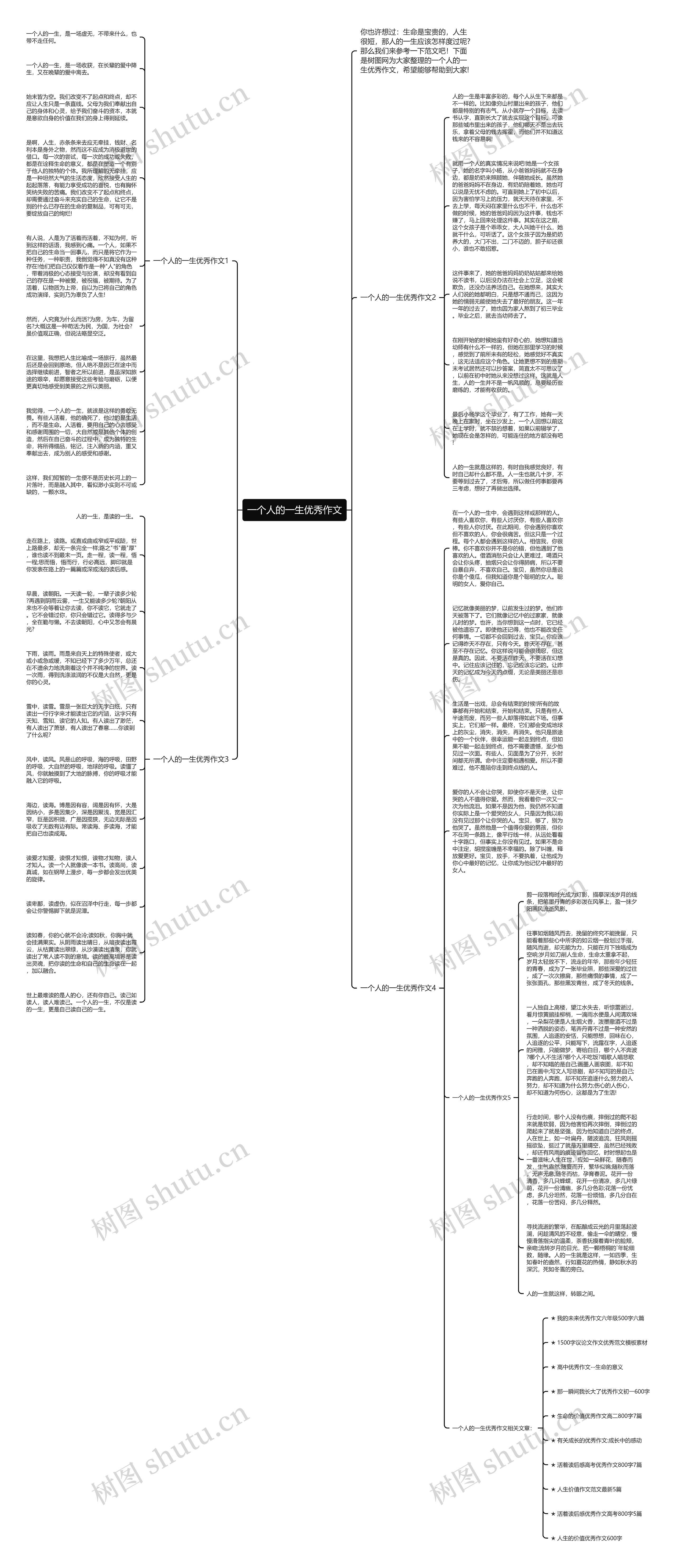 一个人的一生优秀作文思维导图
