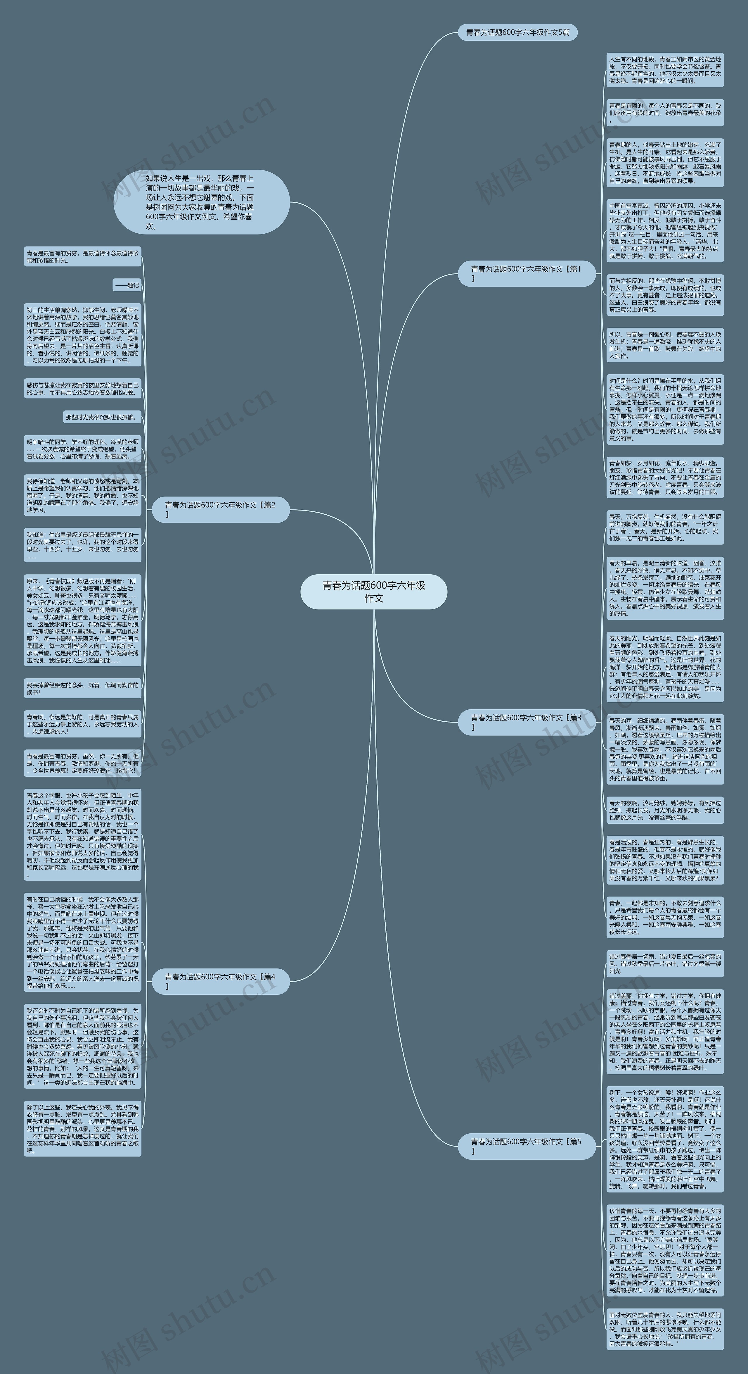 青春为话题600字六年级作文思维导图