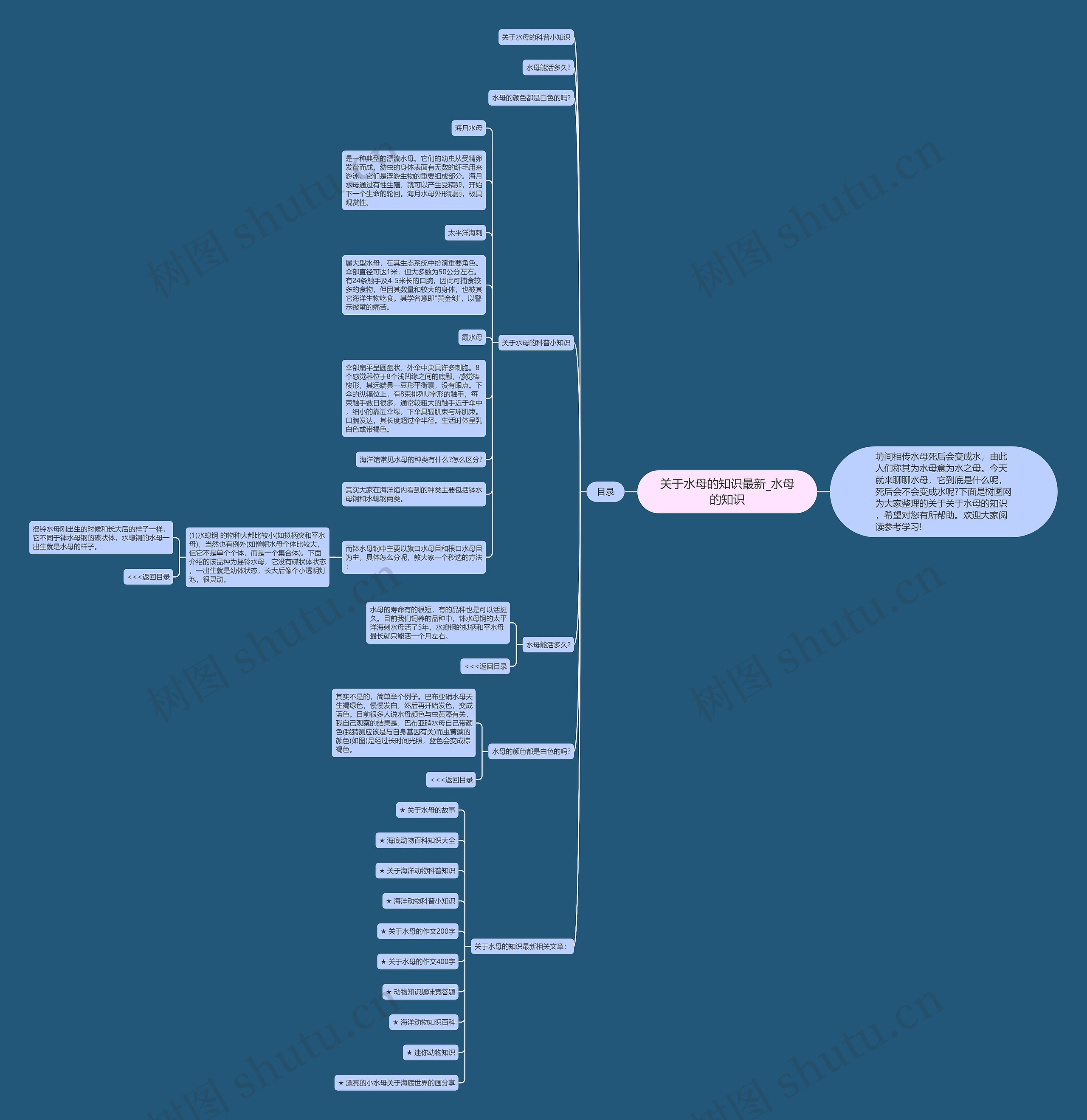 关于水母的知识最新_水母的知识思维导图