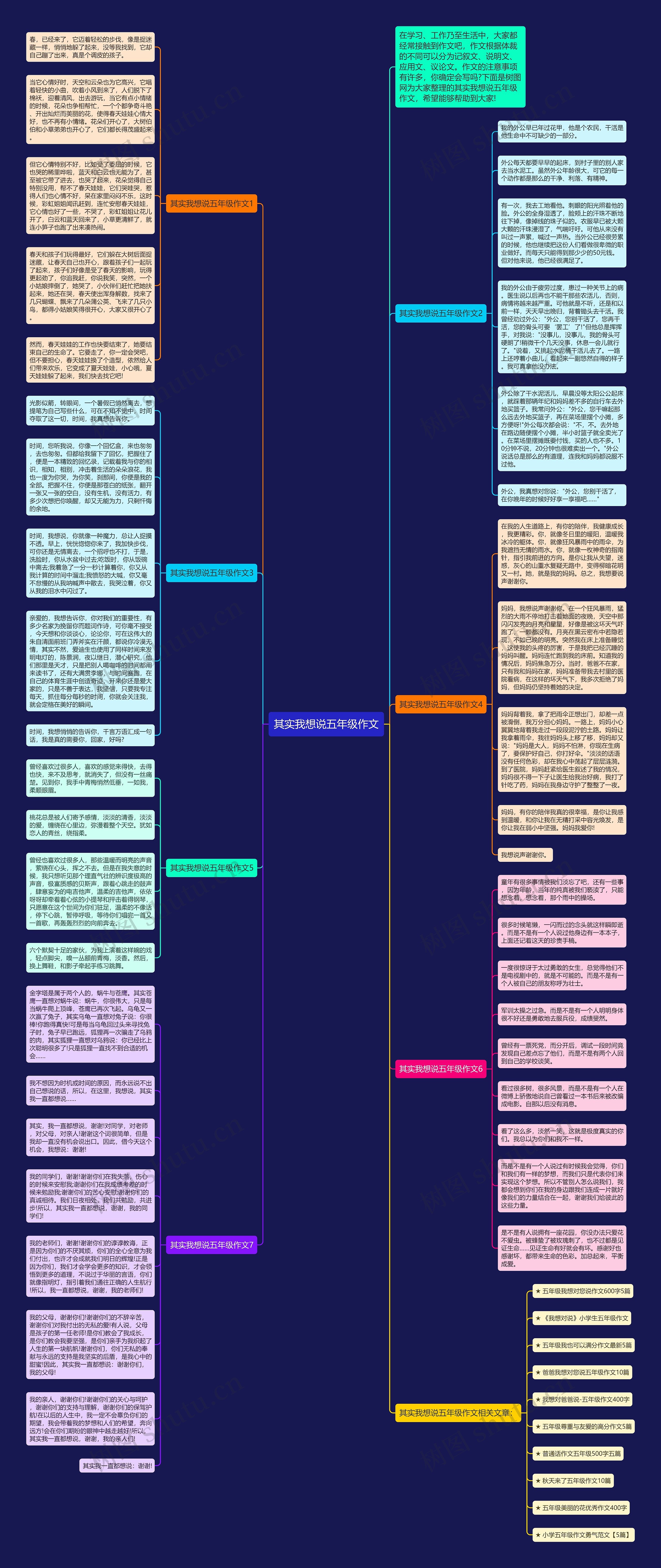 其实我想说五年级作文思维导图