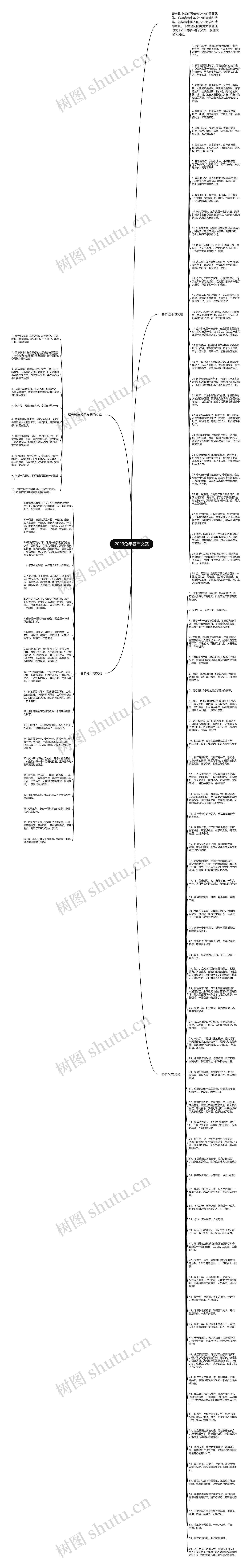 2023兔年春节文案