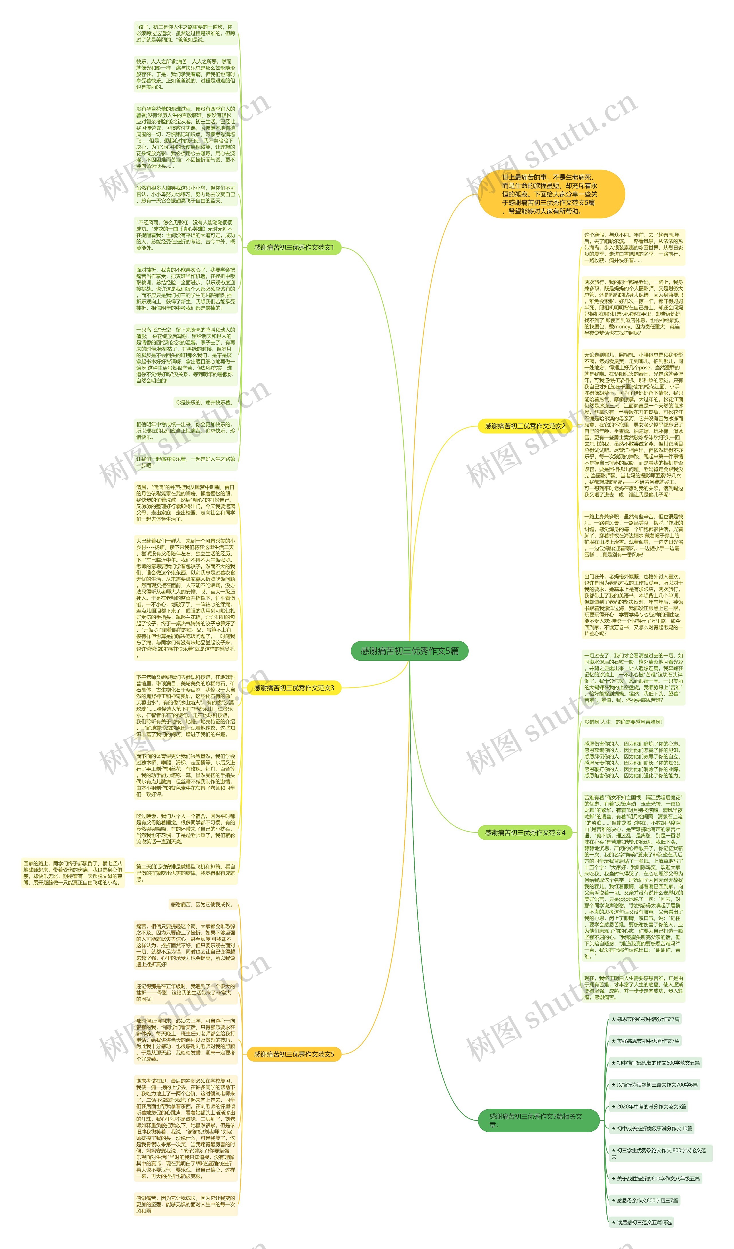 感谢痛苦初三优秀作文5篇思维导图