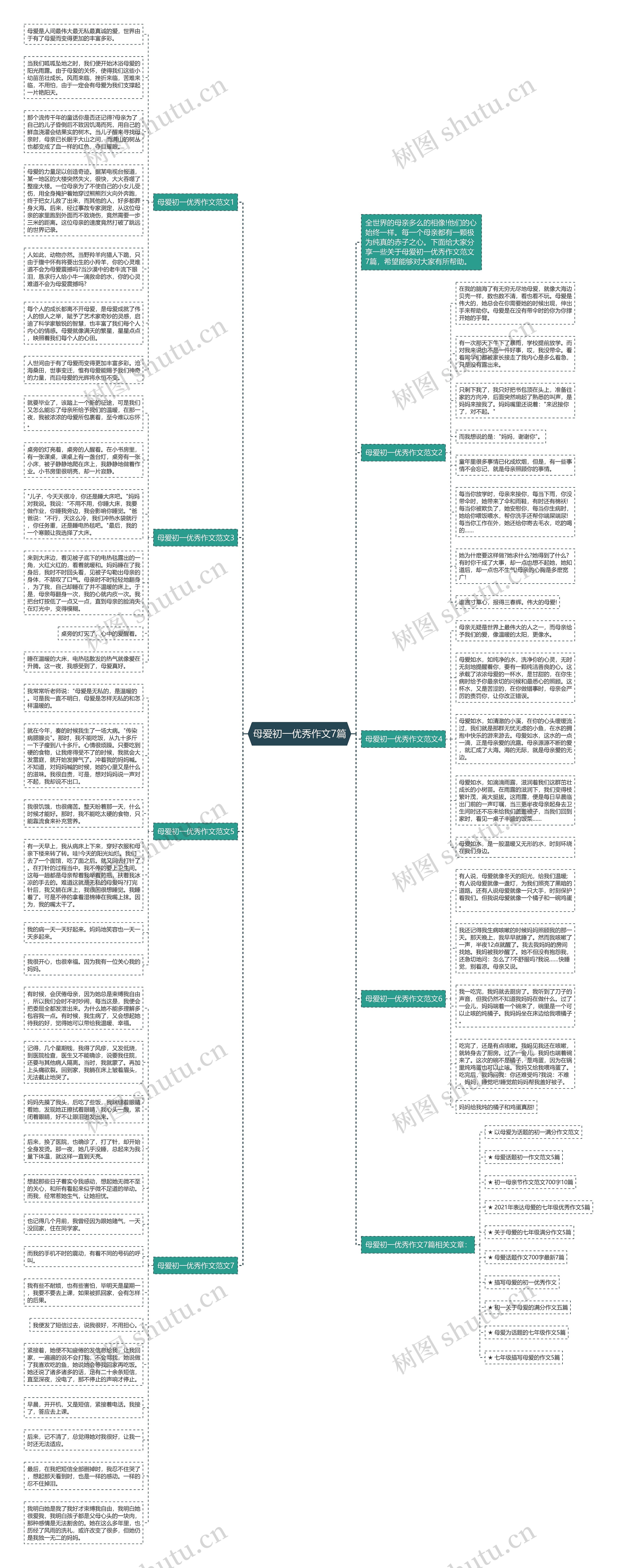 母爱初一优秀作文7篇思维导图