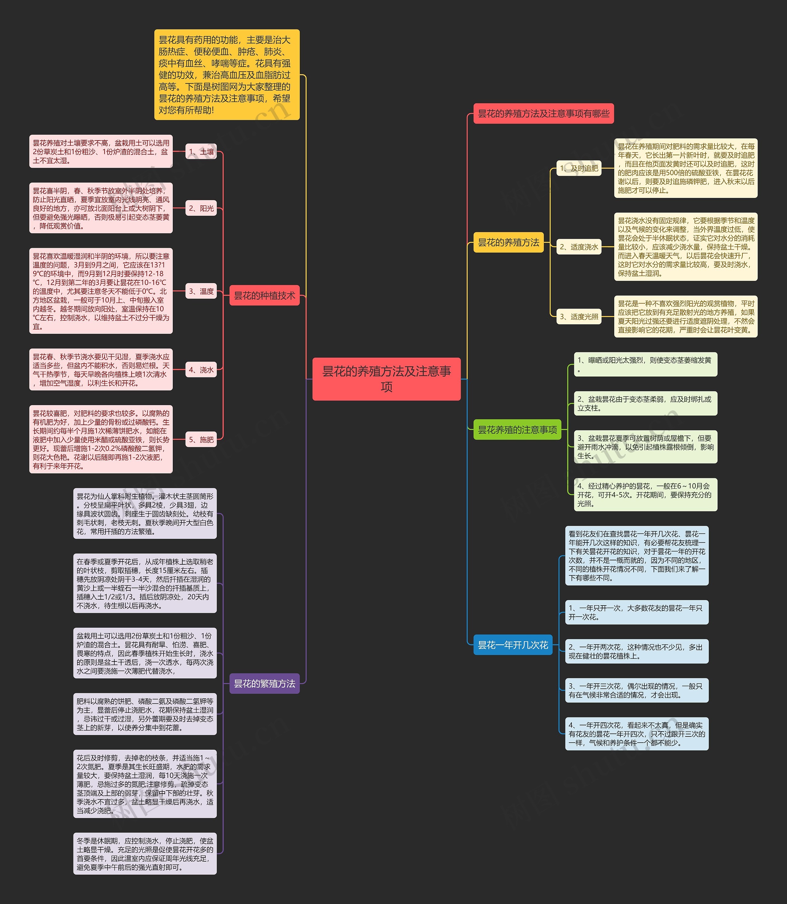 昙花的养殖方法及注意事项思维导图