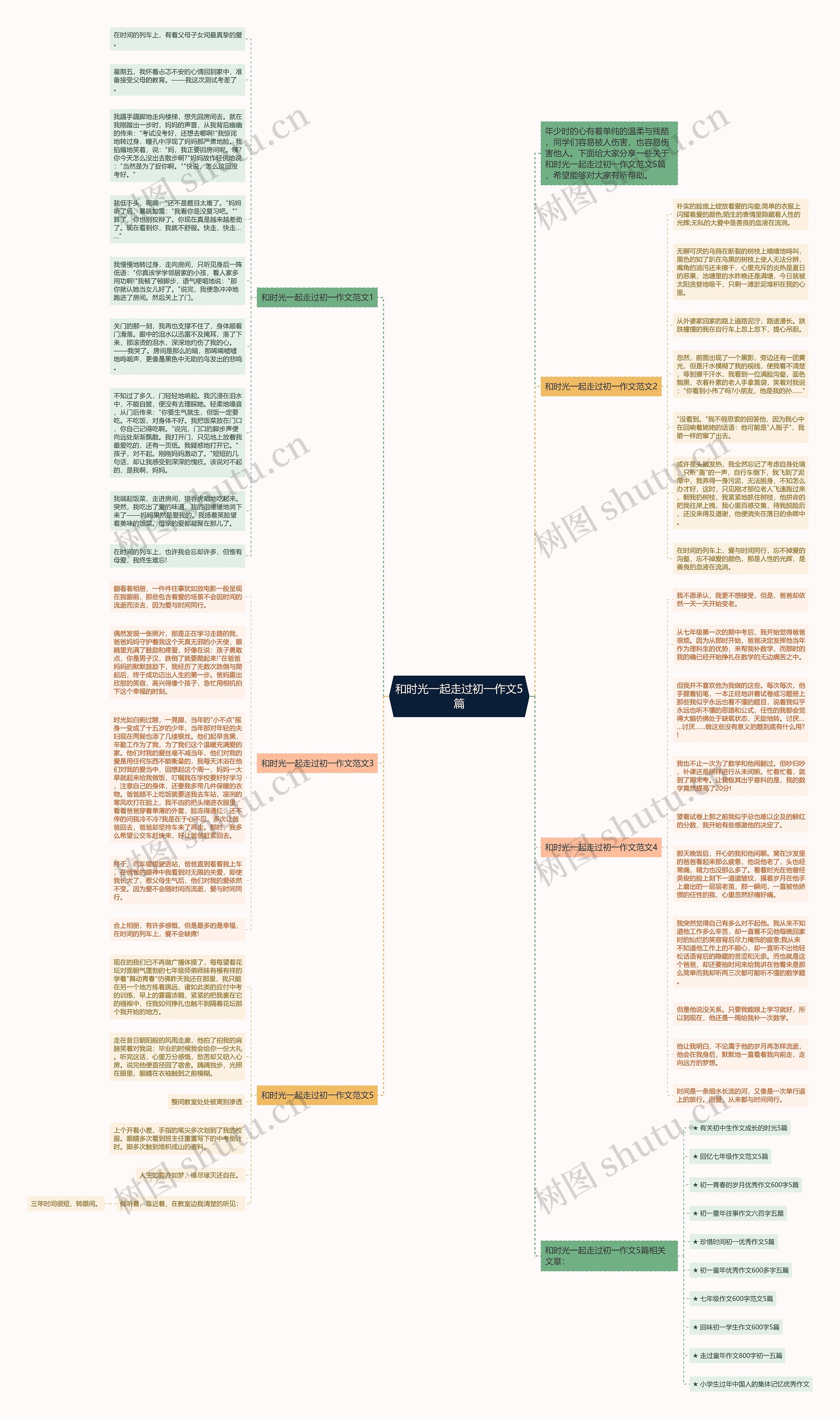 和时光一起走过初一作文5篇思维导图