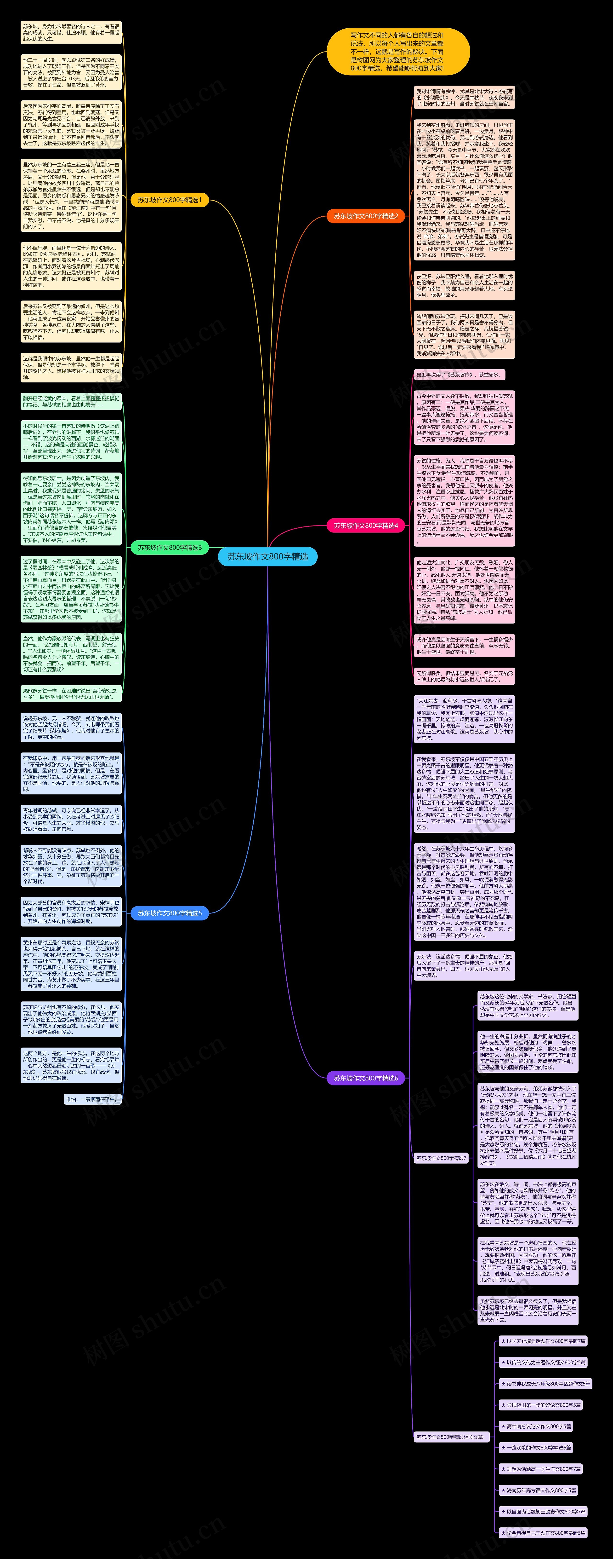 苏东坡作文800字精选思维导图
