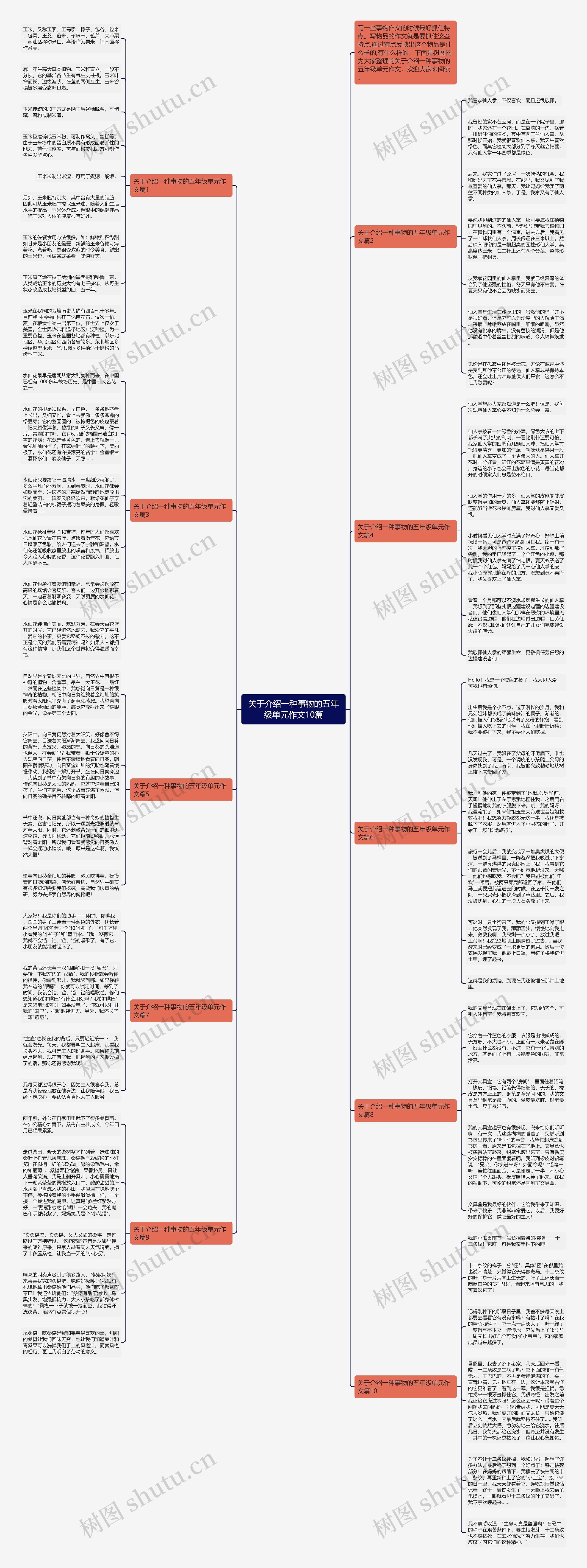关于介绍一种事物的五年级单元作文10篇思维导图