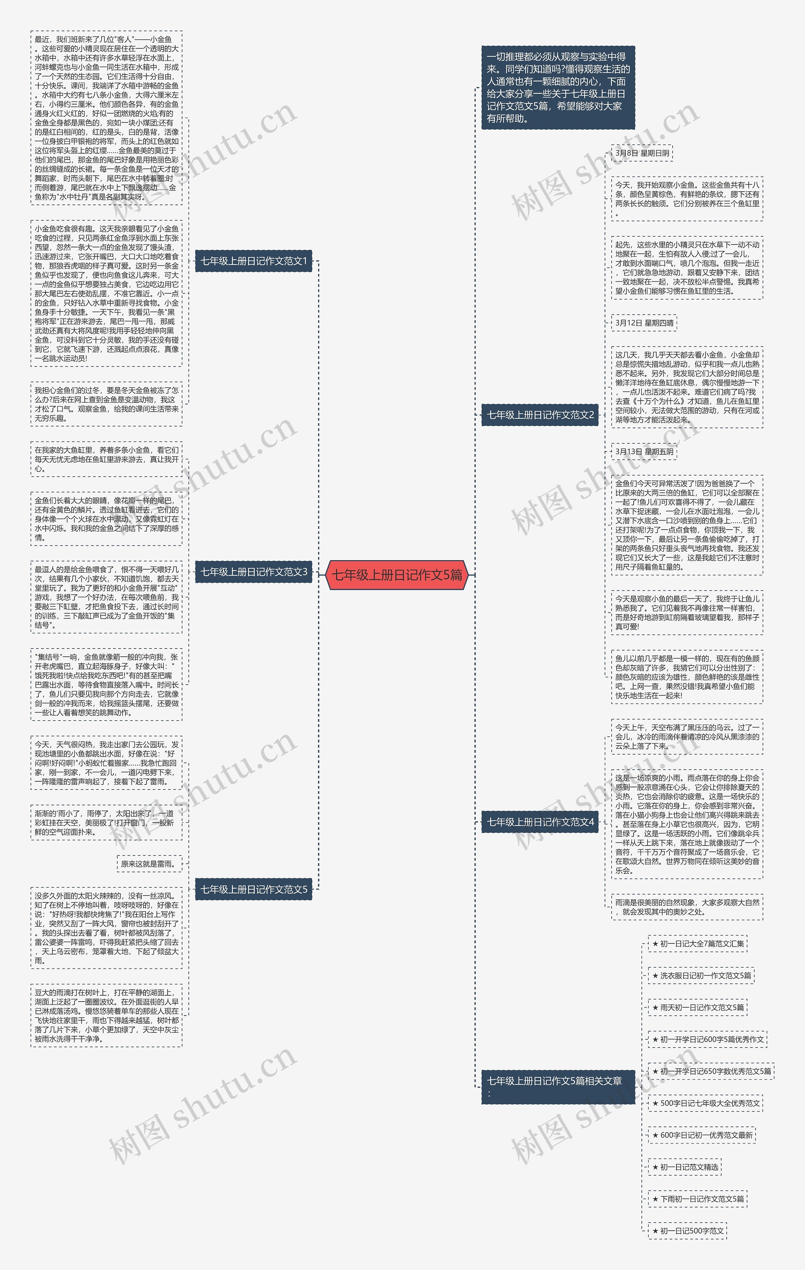 七年级上册日记作文5篇思维导图