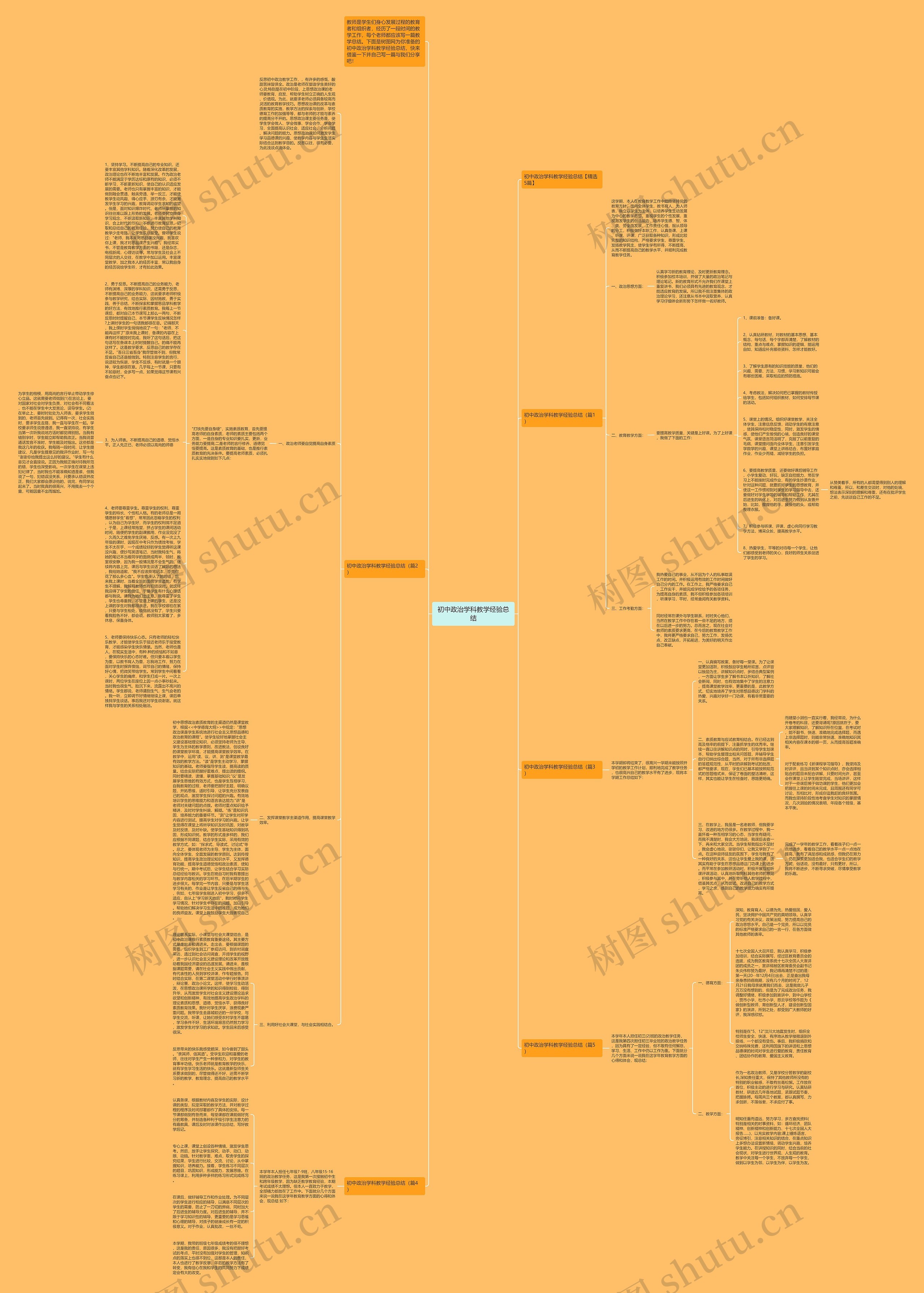 初中政治学科教学经验总结思维导图